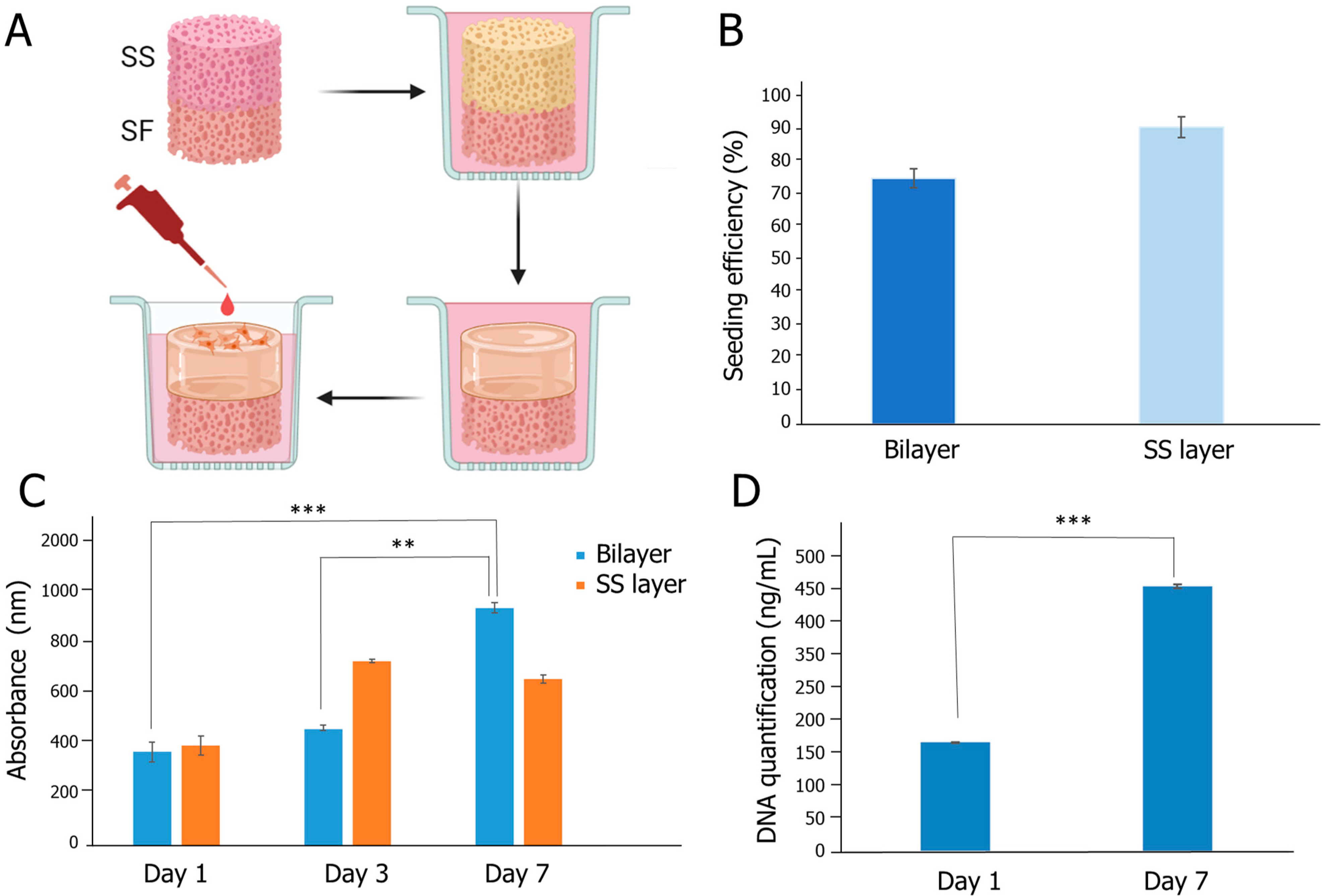 Gels 10 00439 g007 Gels 10 00439 g007