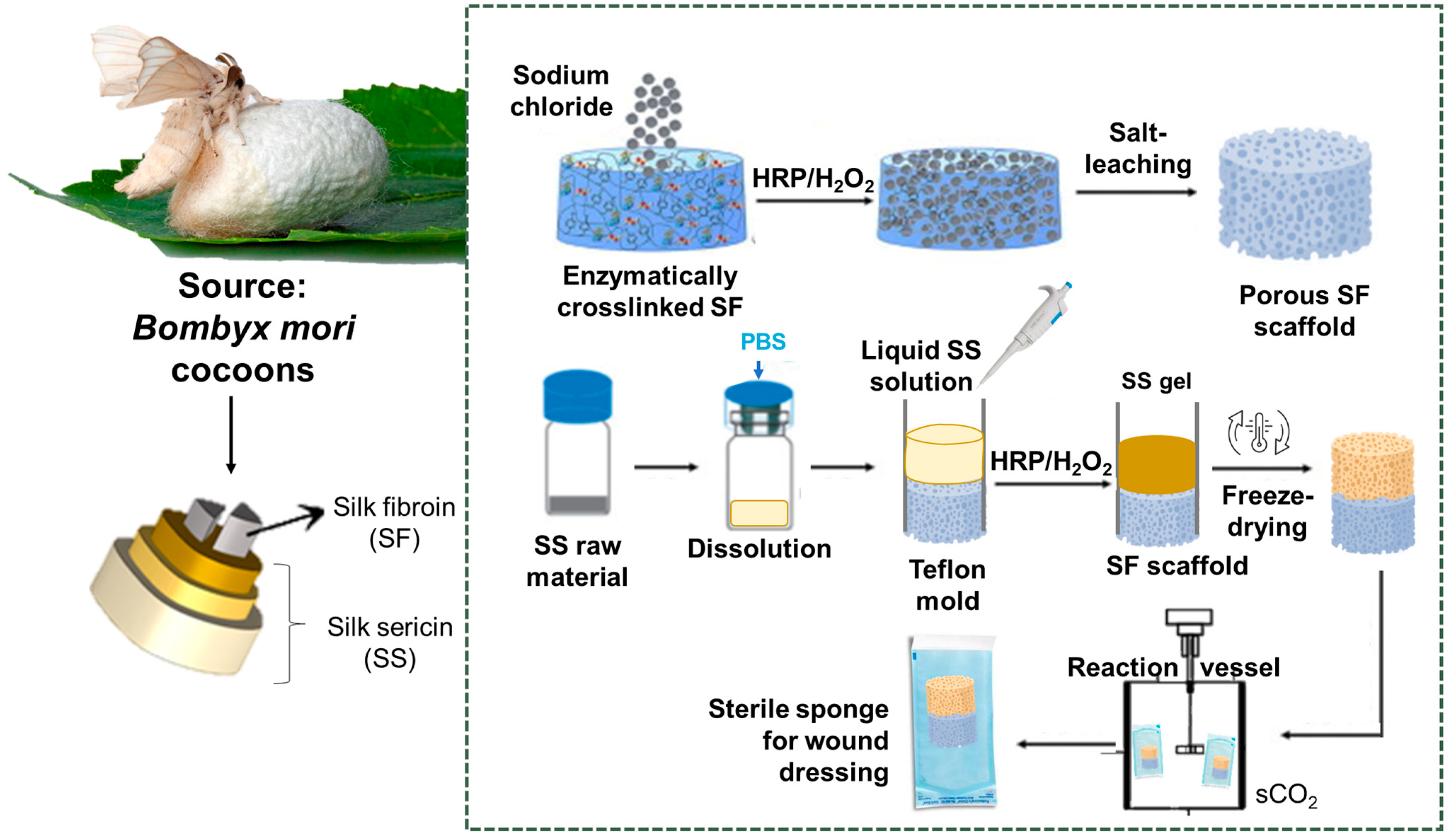 Gels 10 00439 g008 Gels 10 00439 g008