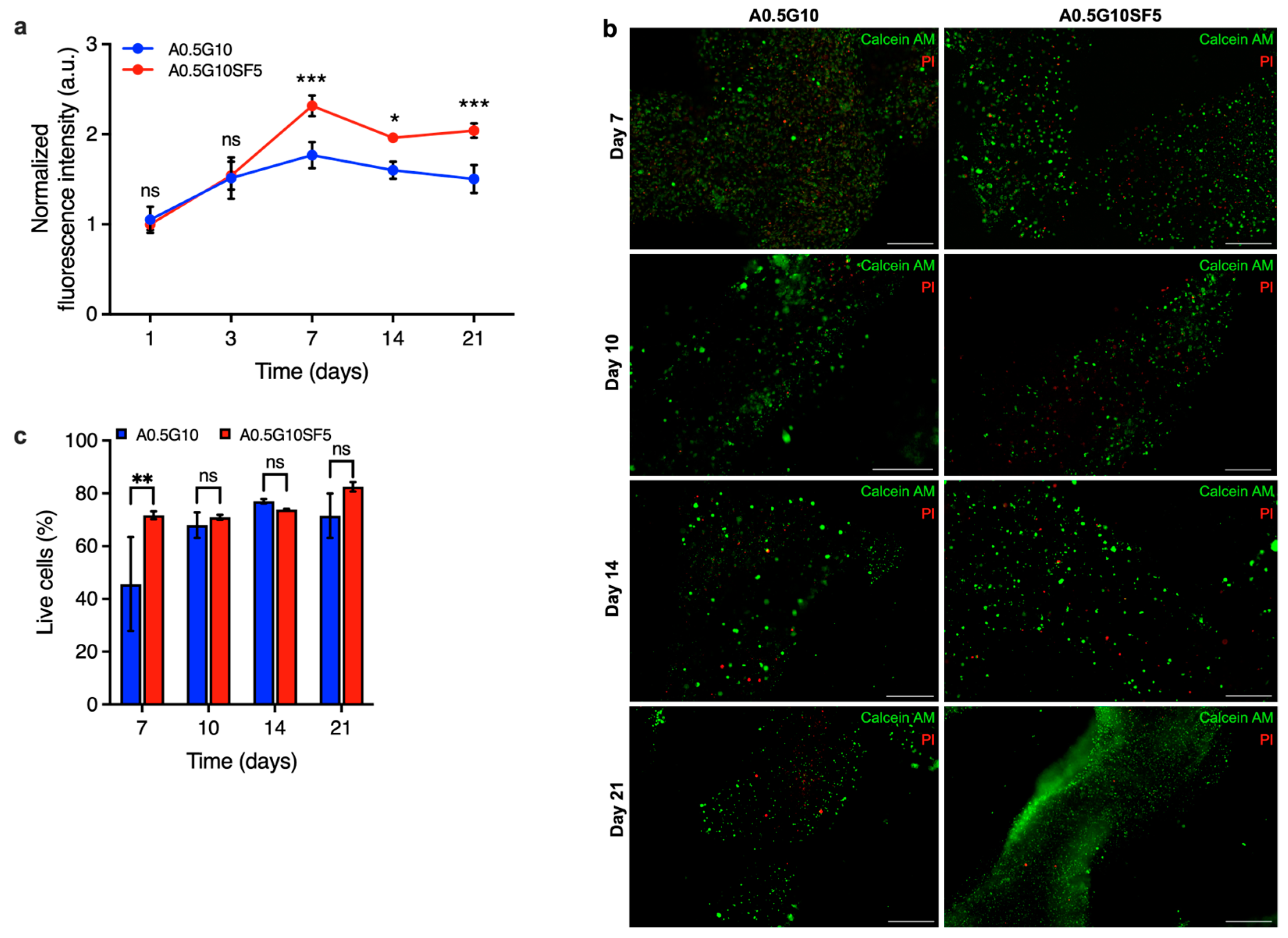 Gels 10 00469 g006 Gels 10 00469 g006
