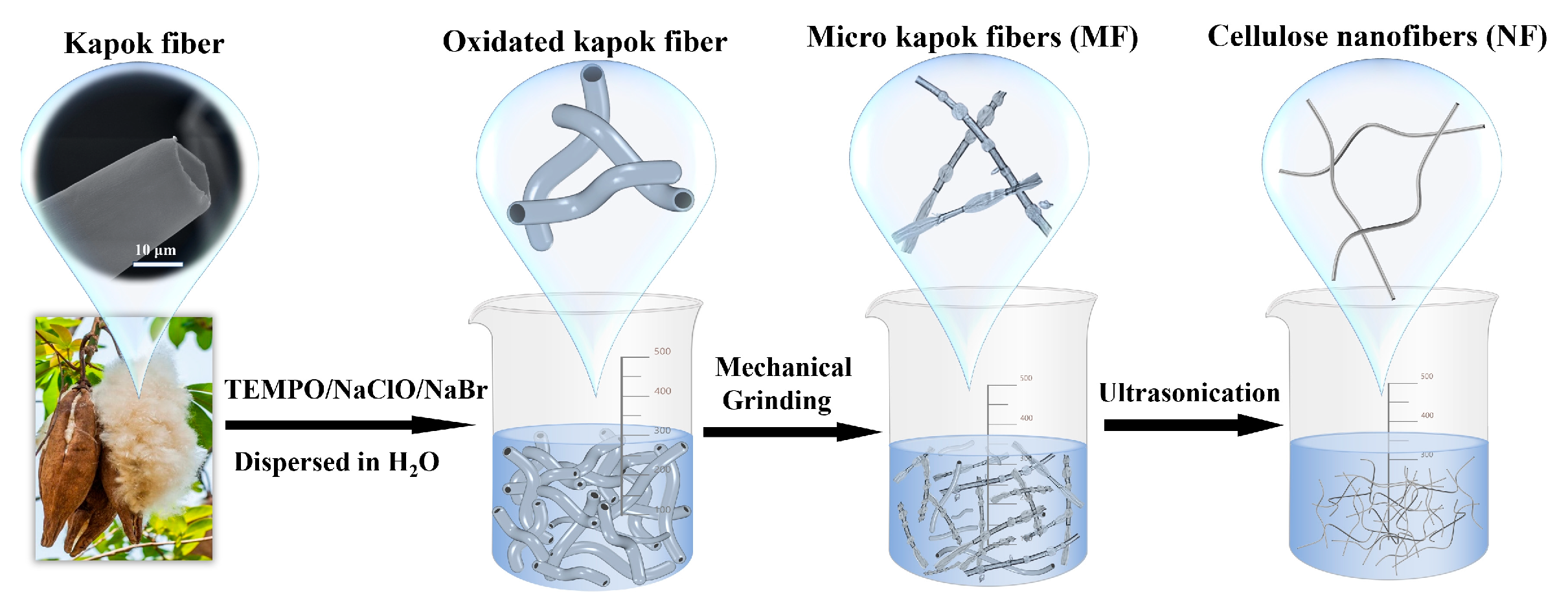 Gels 10 00490 sch001