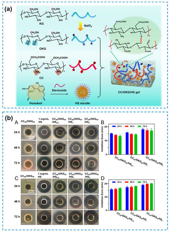 Antibacterial Hydrogels for Wound Dressing Applications