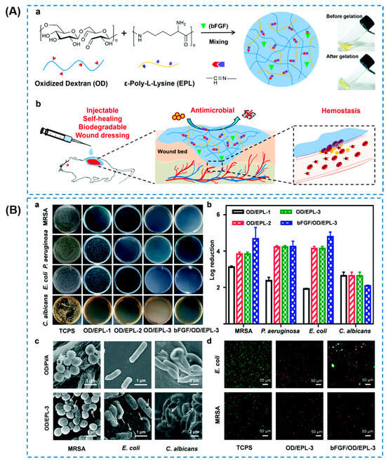 Antibacterial Hydrogels for Wound Dressing Applications