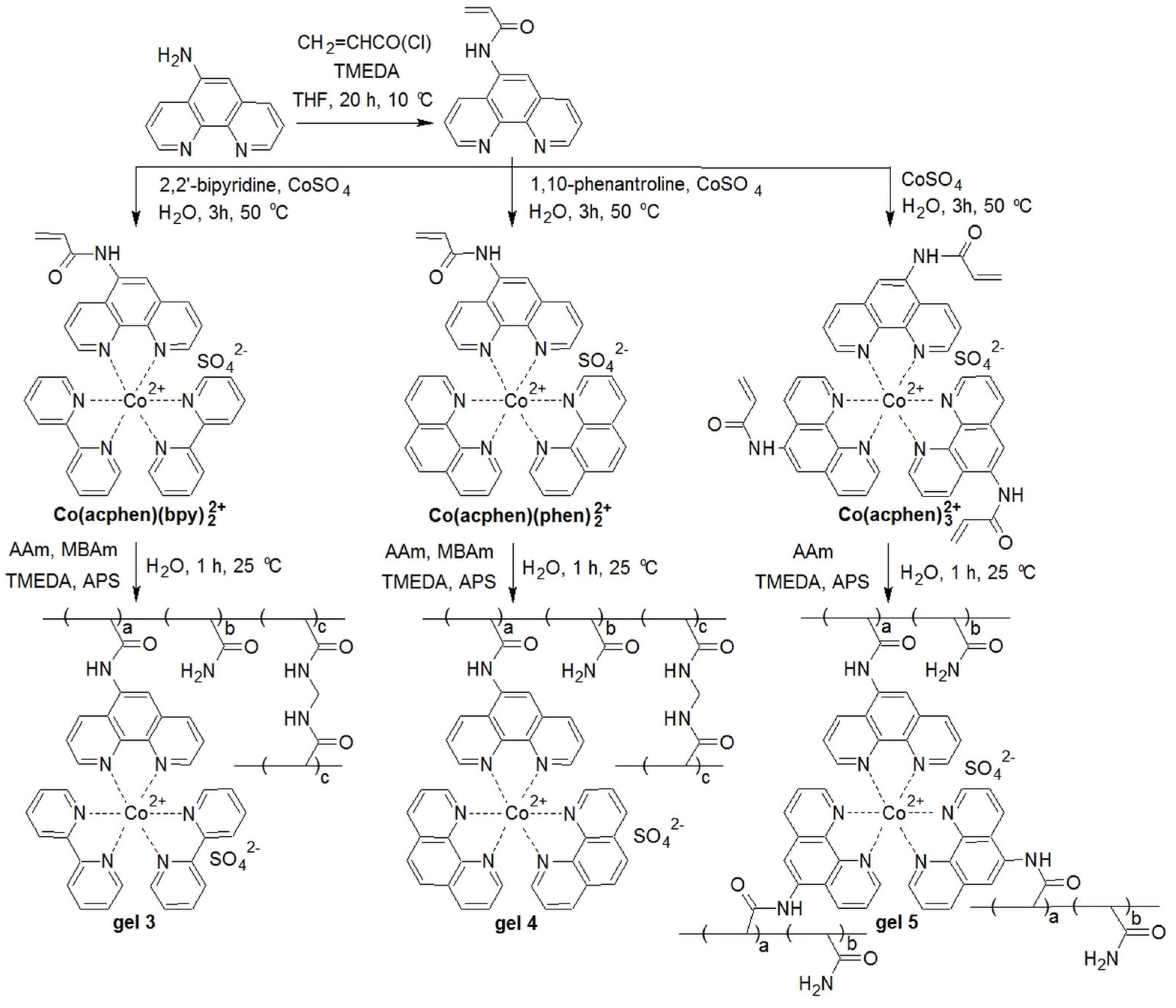 Gels 10 00552 sch002