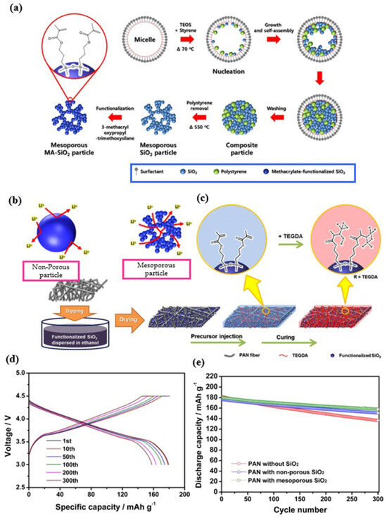 A Comprehensive Review of Functional Gel Polymer Electrolytes and ...