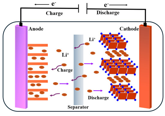 A Comprehensive Review of Functional Gel Polymer Electrolytes and ...