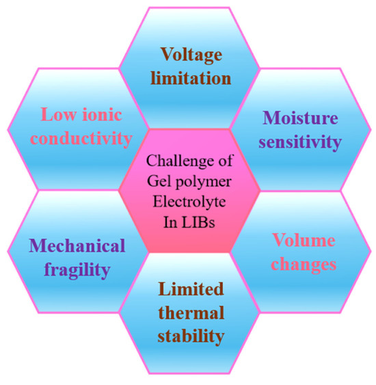 A Comprehensive Review of Functional Gel Polymer Electrolytes and ...
