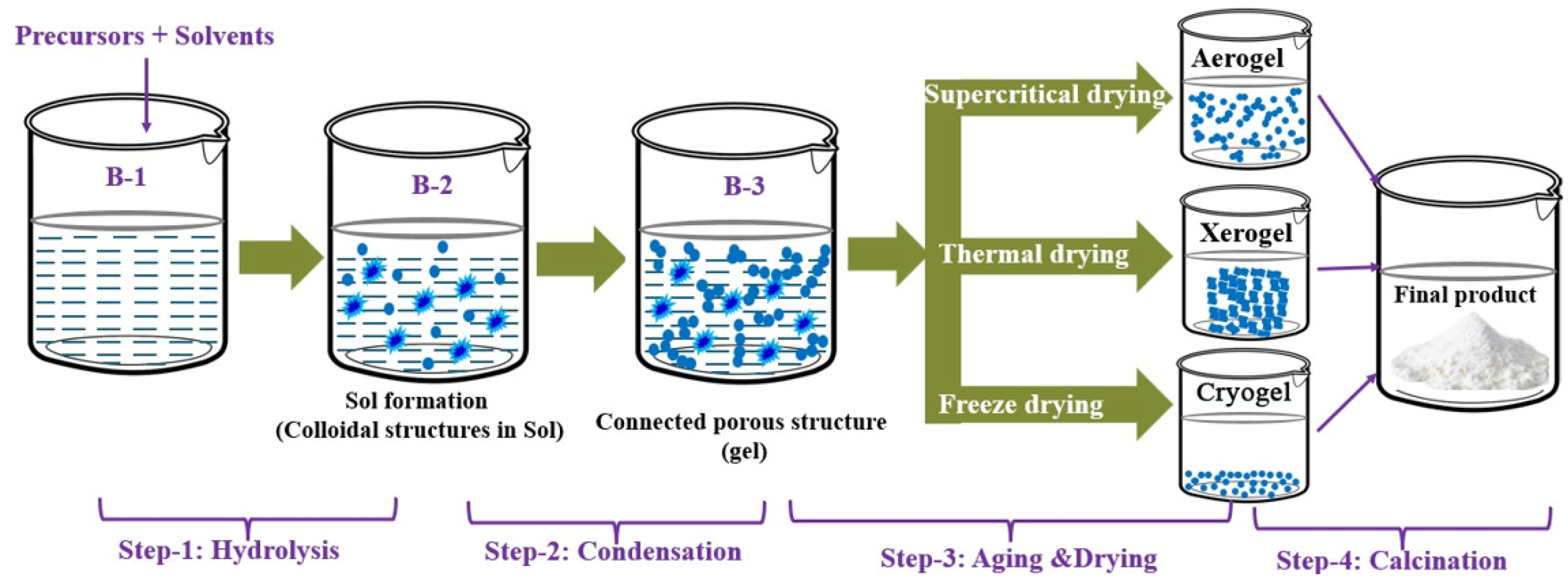 Gels 10 00586 sch001