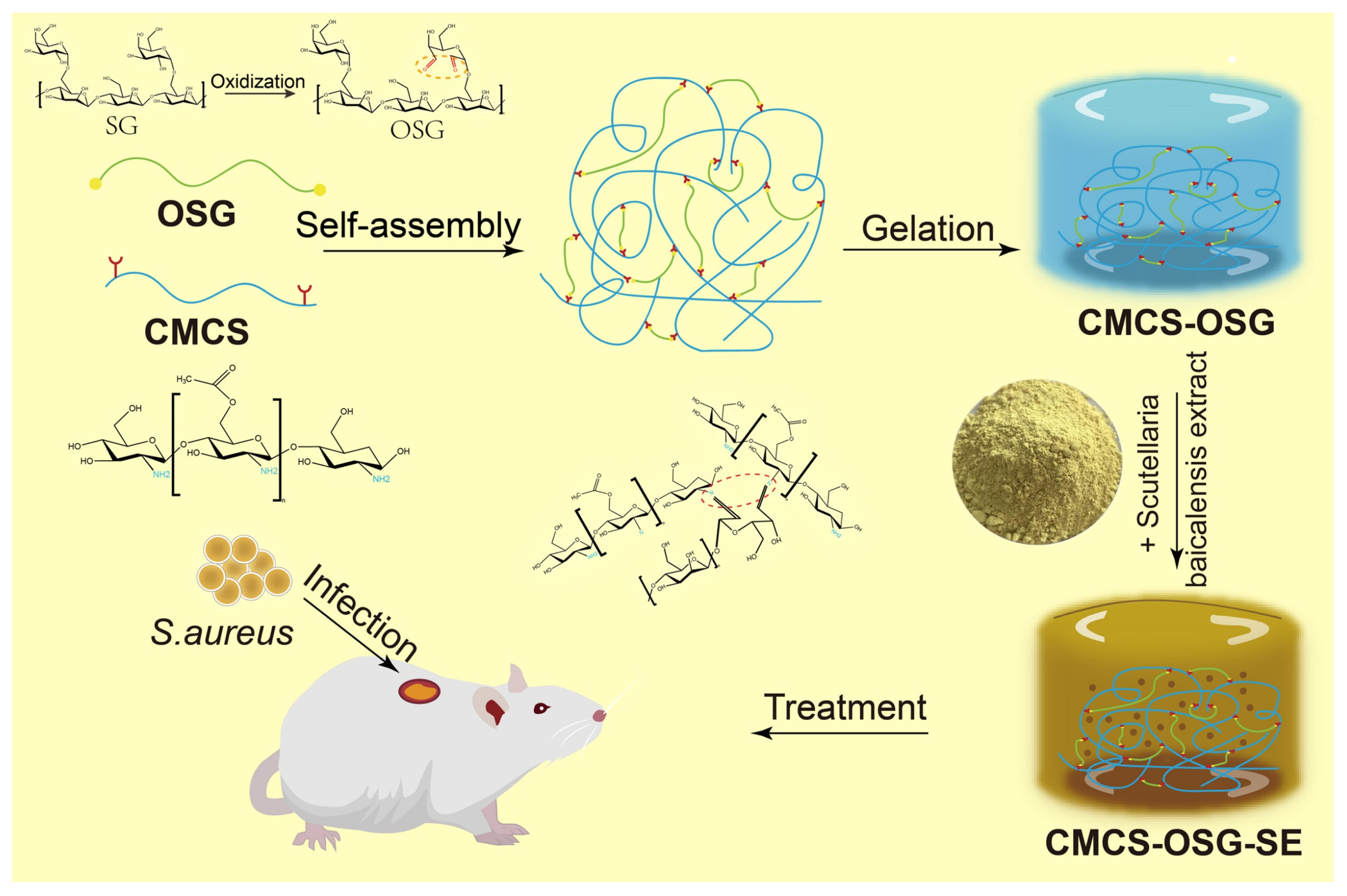 Gels 10 00605 sch001