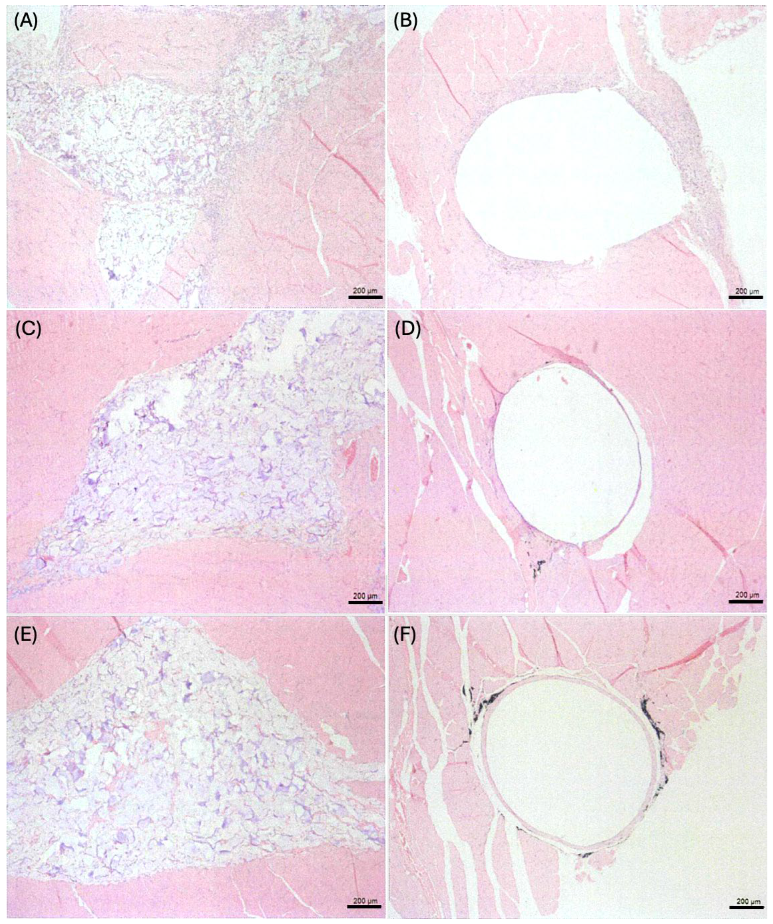 Gels 10 00619 g006 Gels 10 00619 g006