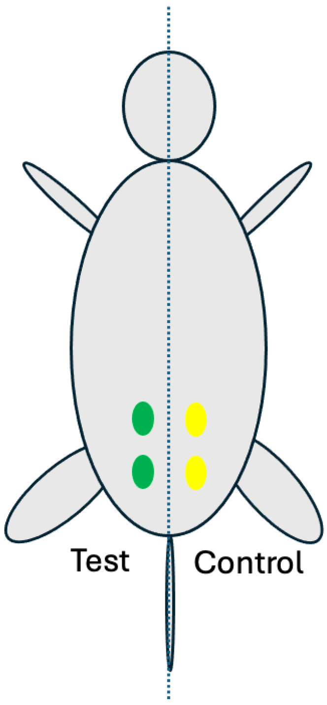 Gels 10 00619 g008 Gels 10 00619 g008