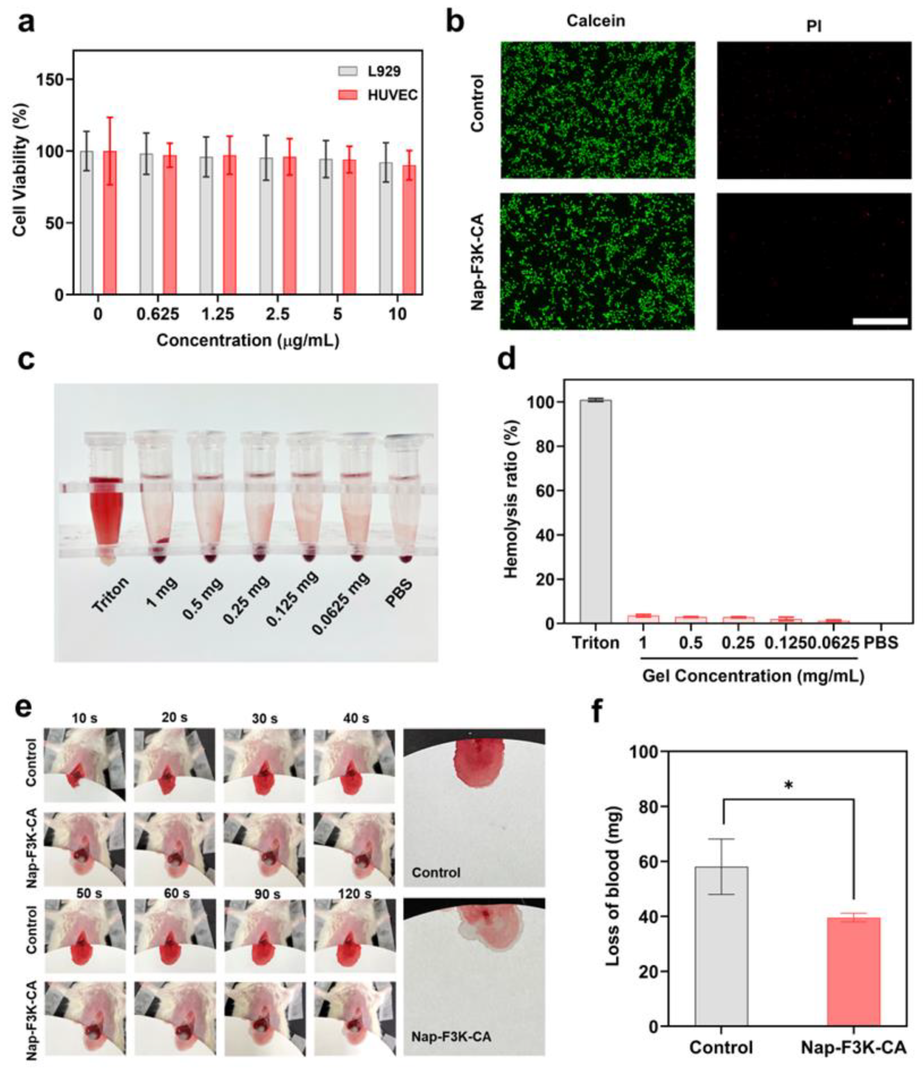 Gels 10 00621 g002 Gels 10 00621 g002