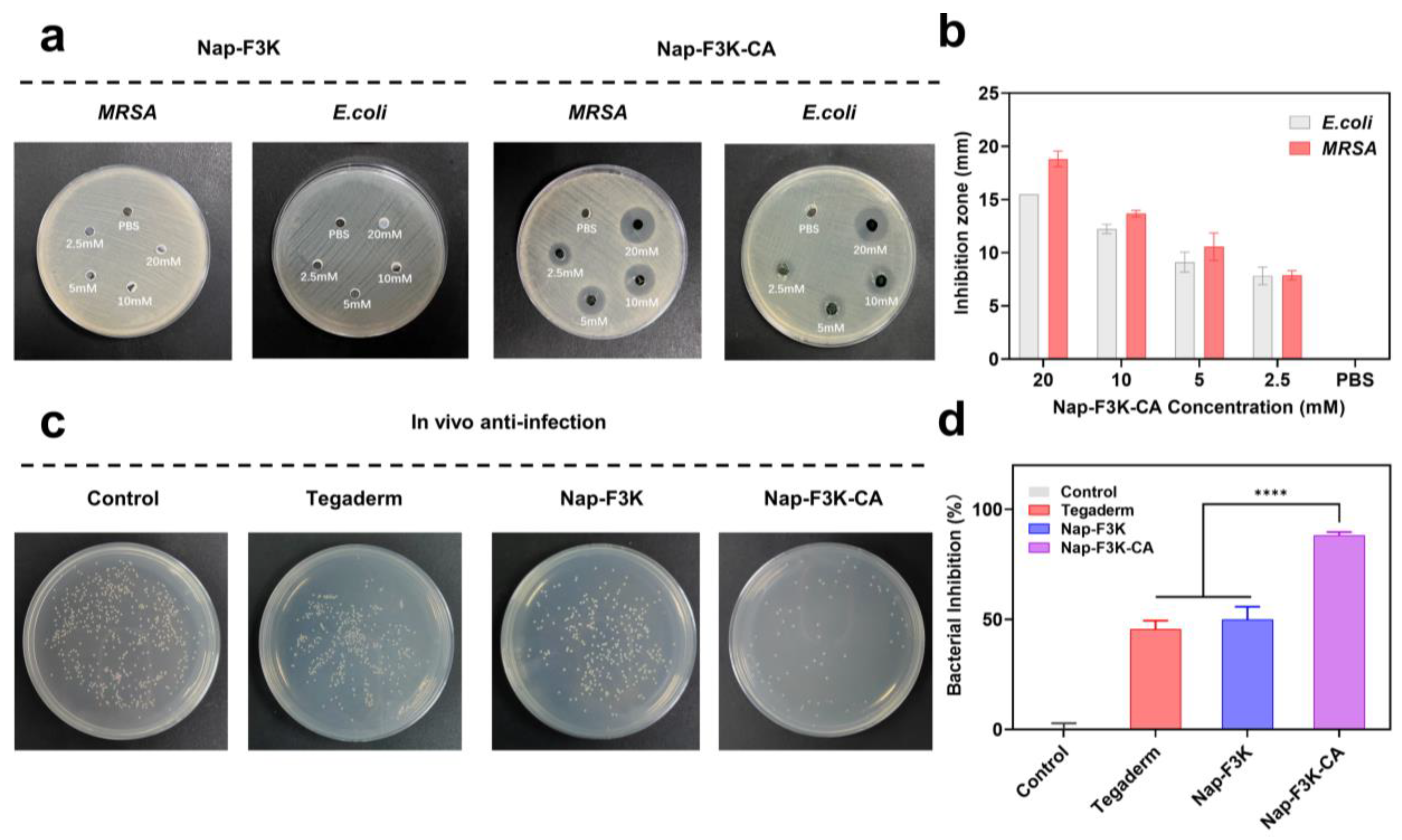 Gels 10 00621 g003 Gels 10 00621 g003