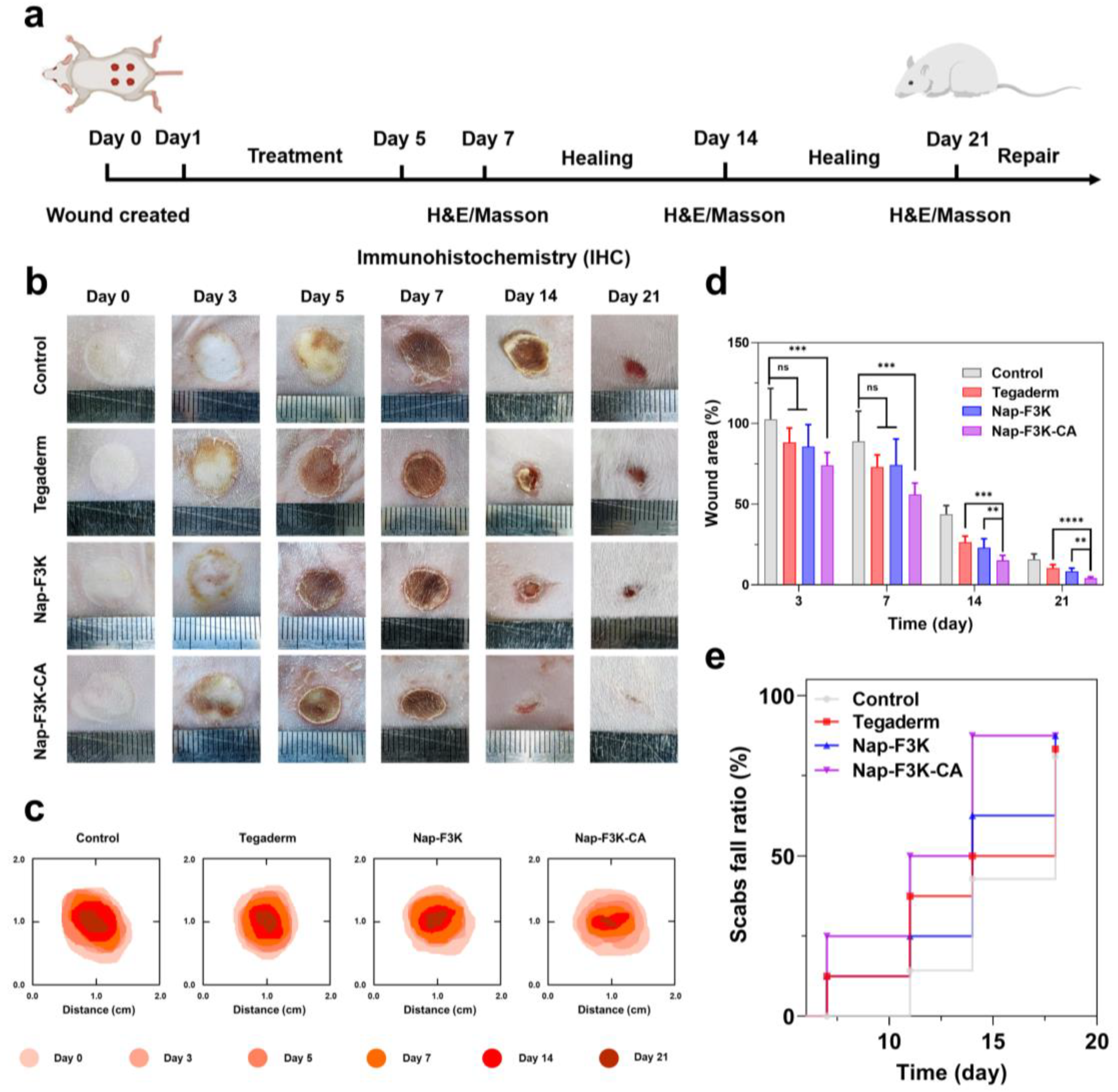 Gels 10 00621 g004 Gels 10 00621 g004