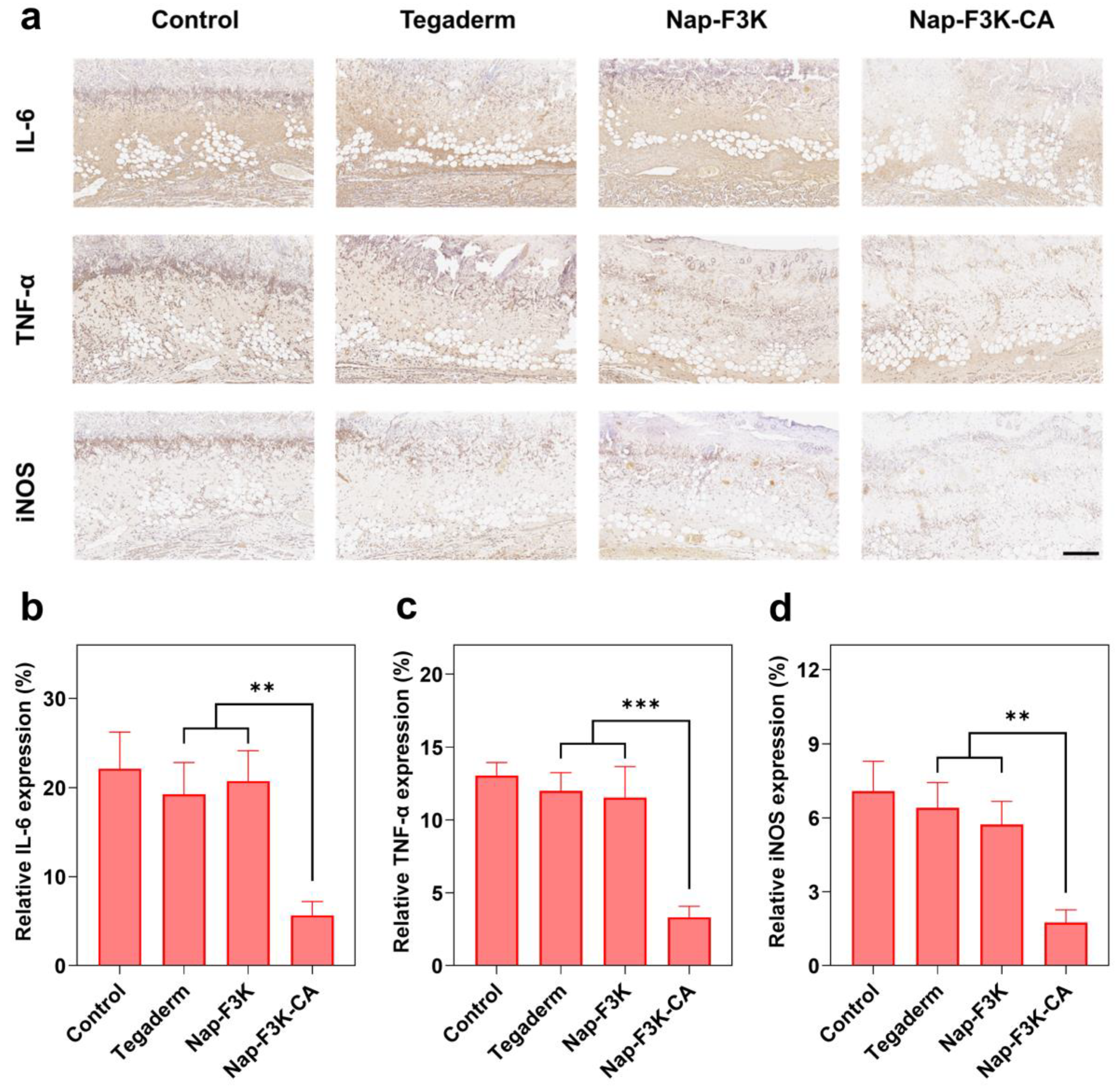 Gels 10 00621 g006 Gels 10 00621 g006