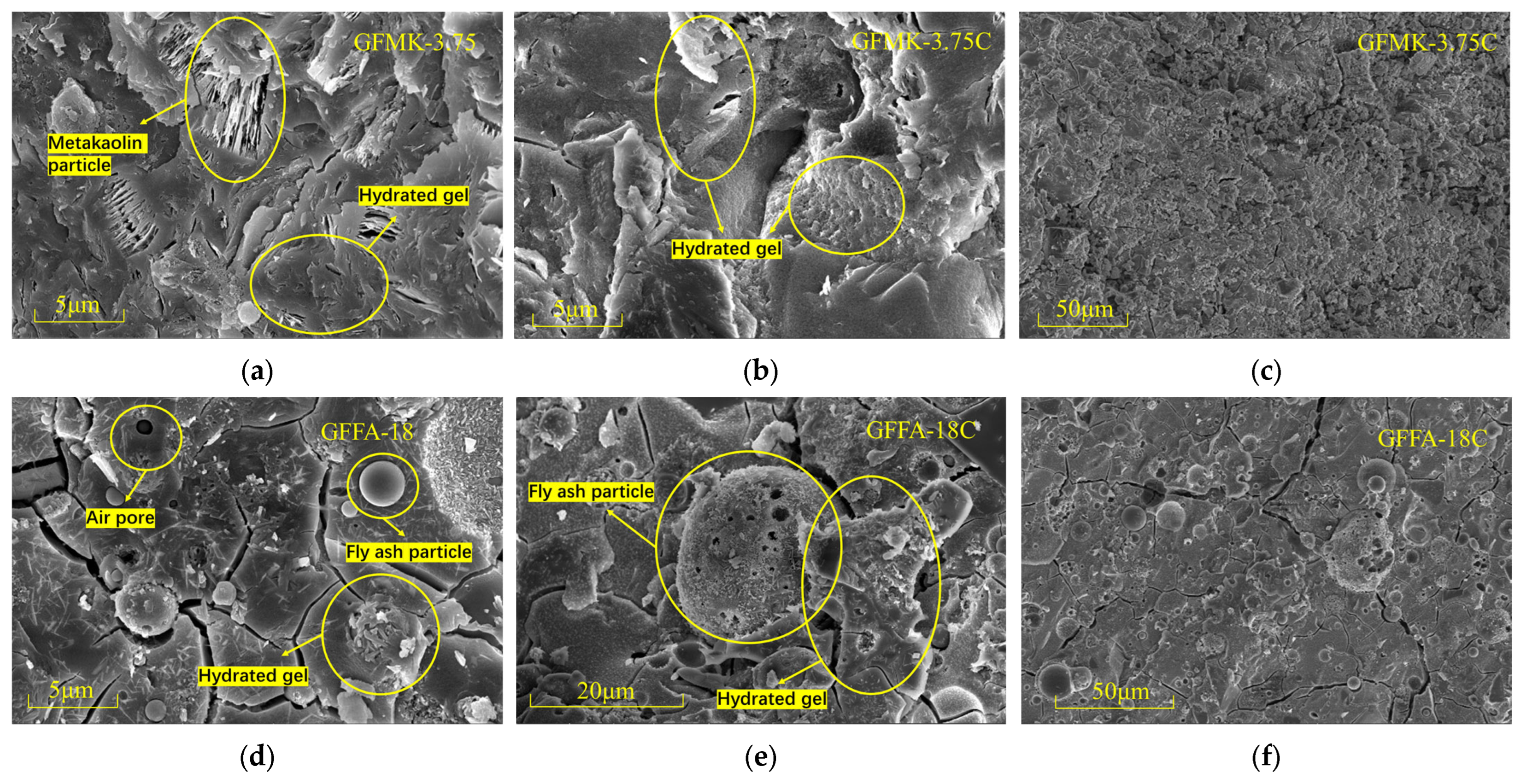 Gels 10 00639 g002