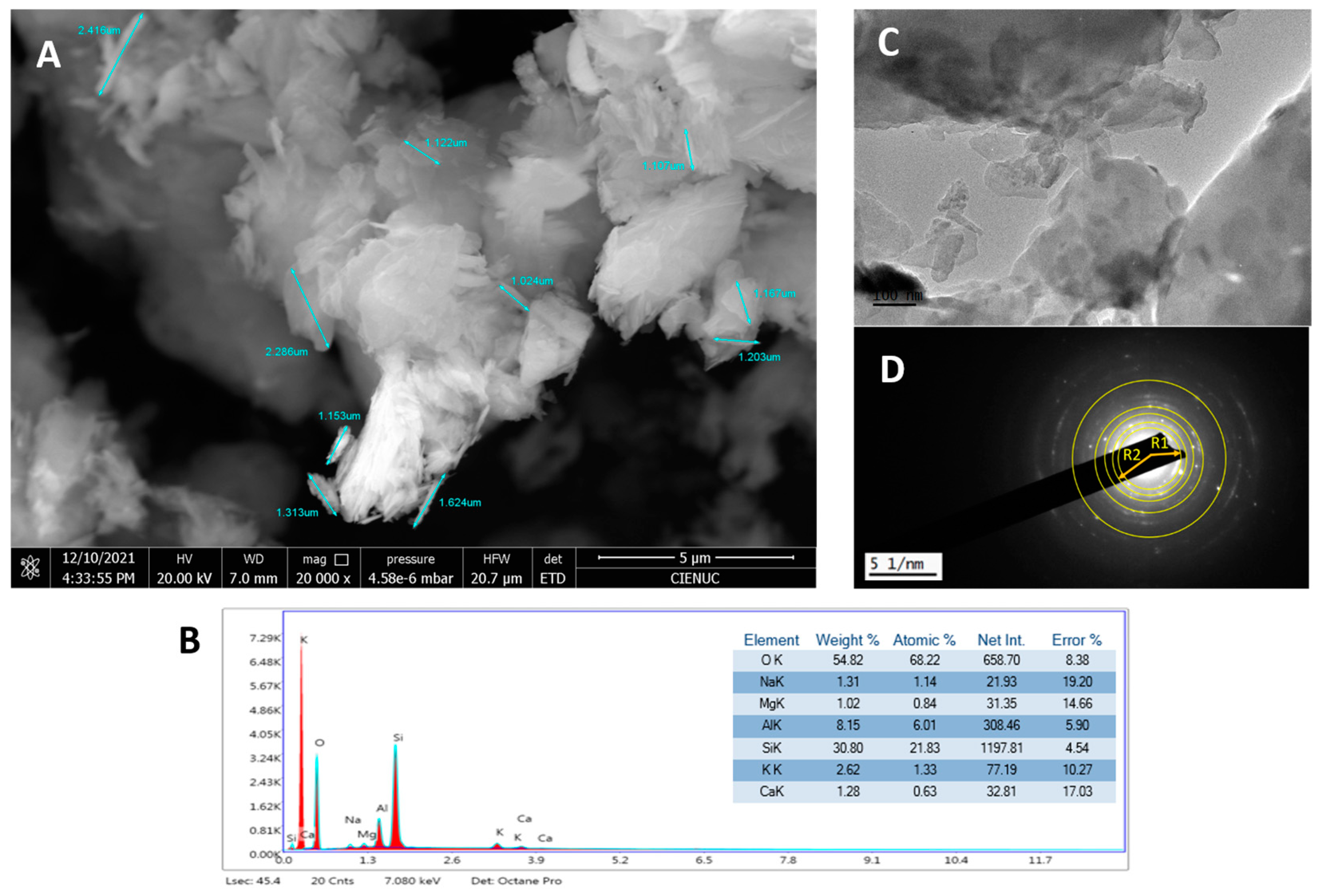 Gels 10 00672 g001 Gels 10 00672 g001