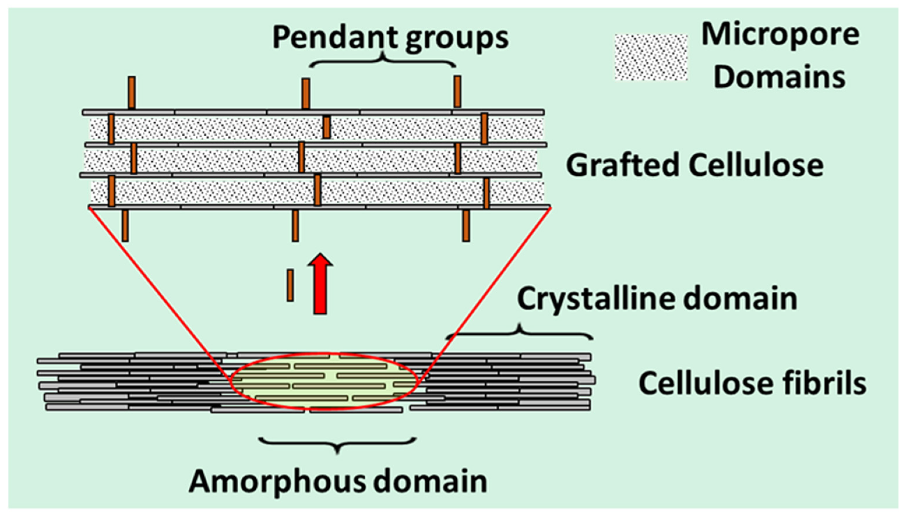 Gels 10 00685 sch001