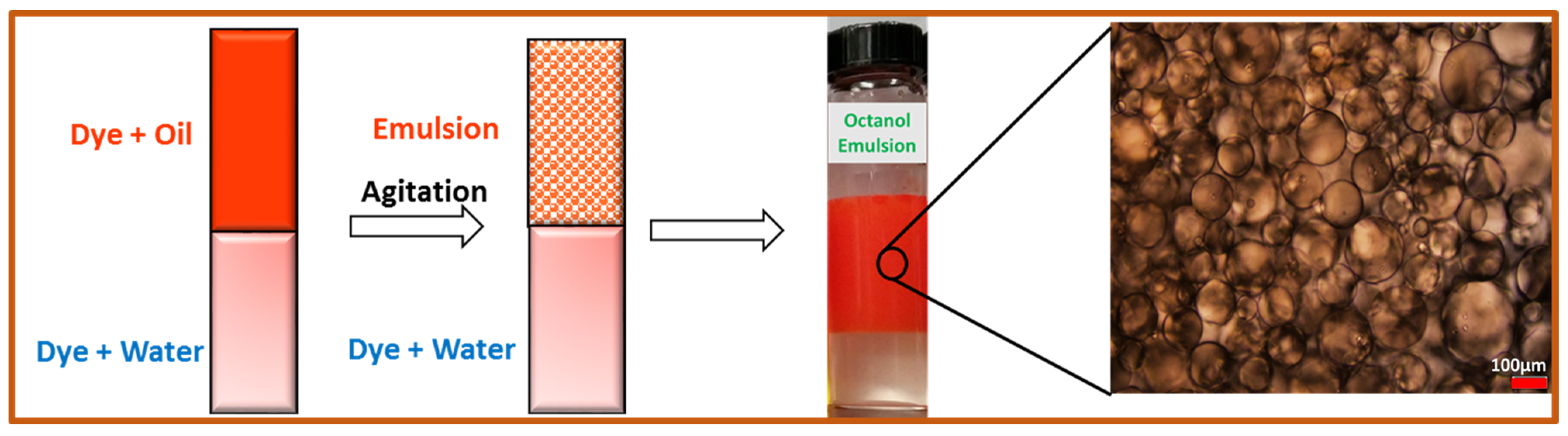 Gels 10 00685 sch002