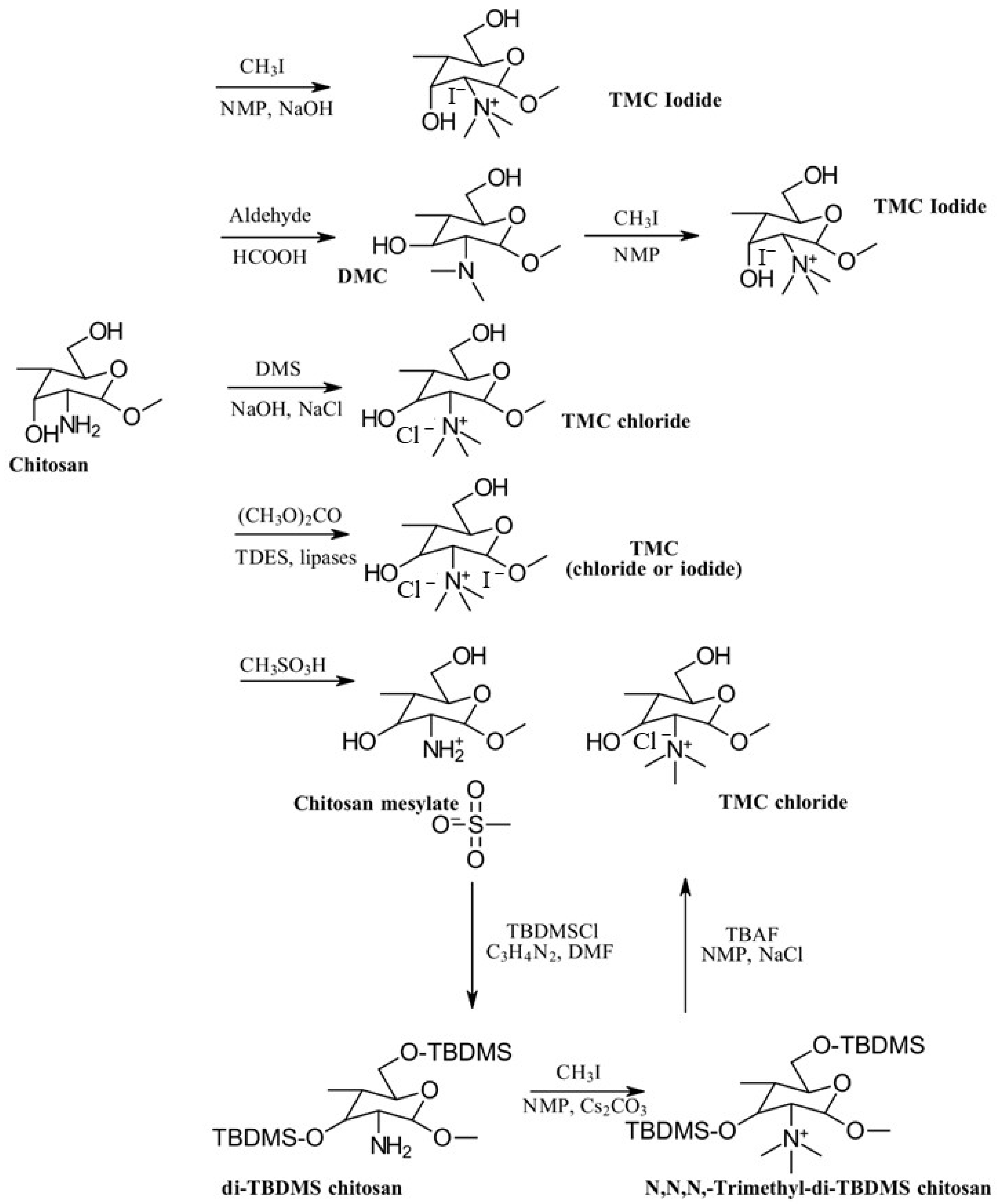 Gels 10 00701 g007 Gels 10 00701 g007