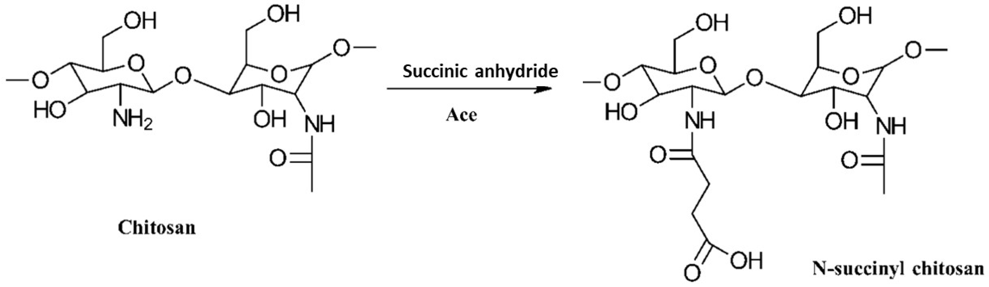 Gels 10 00701 g009 Gels 10 00701 g009