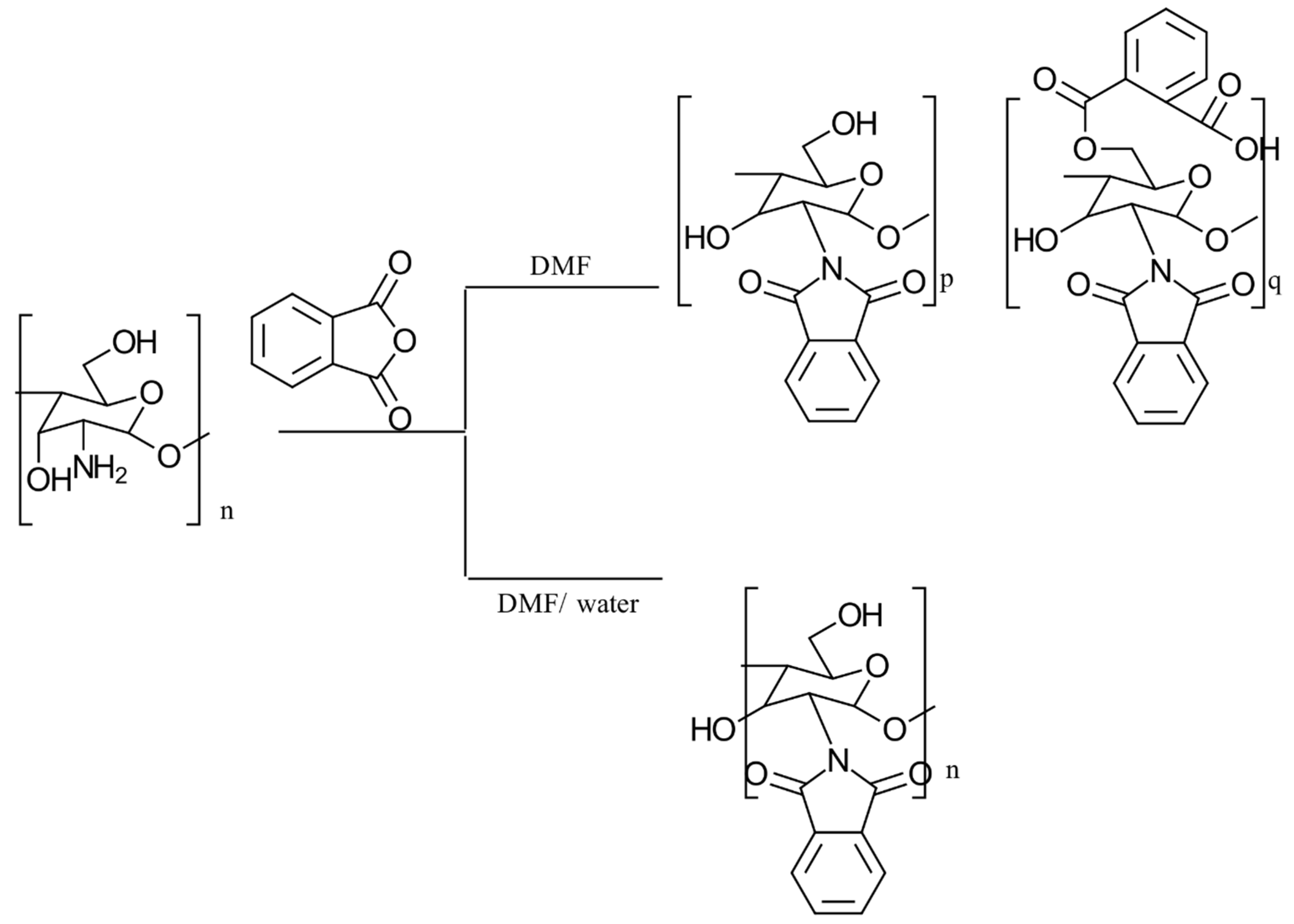 Gels 10 00701 g012 Gels 10 00701 g012
