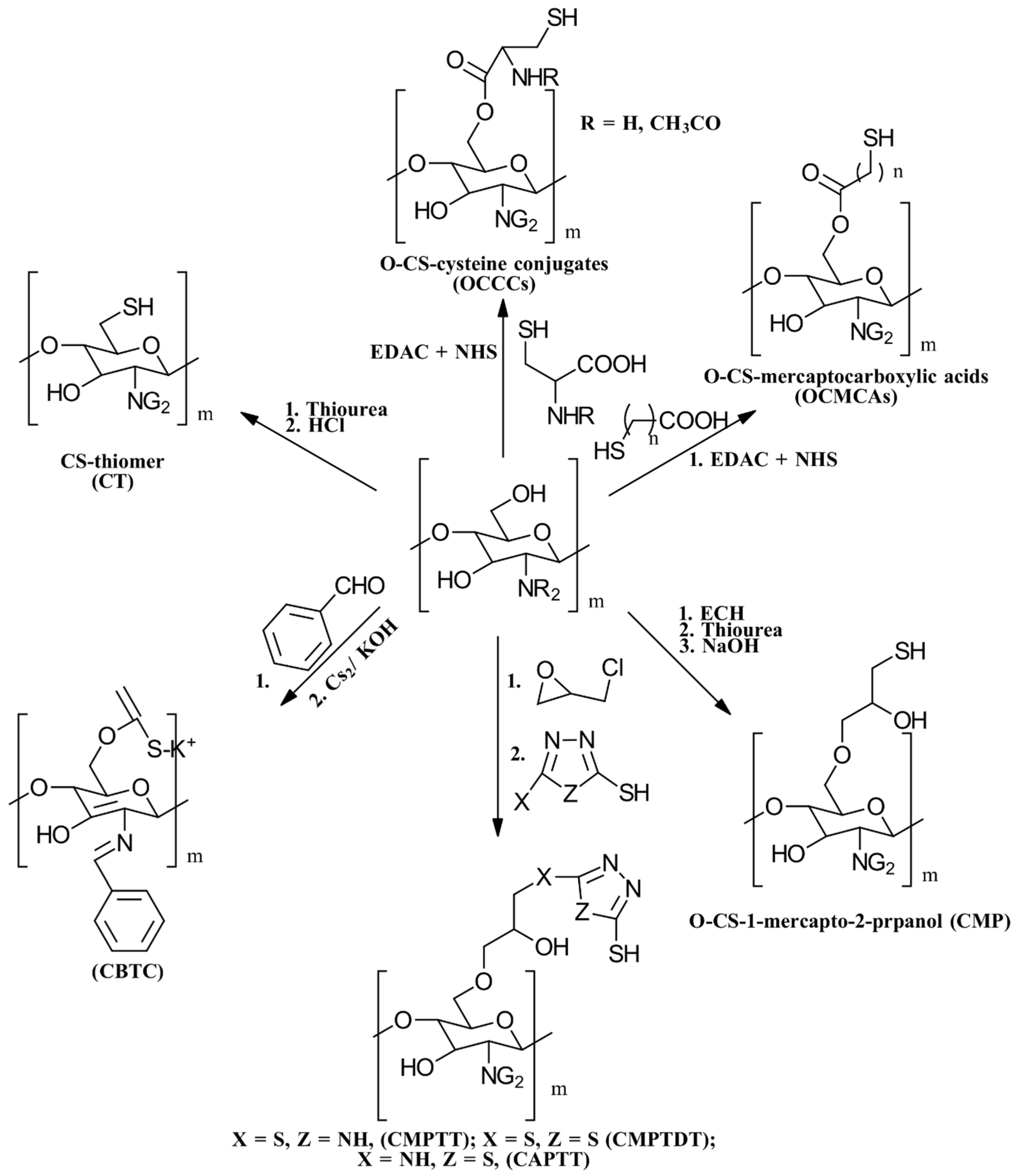 Gels 10 00701 g014 Gels 10 00701 g014