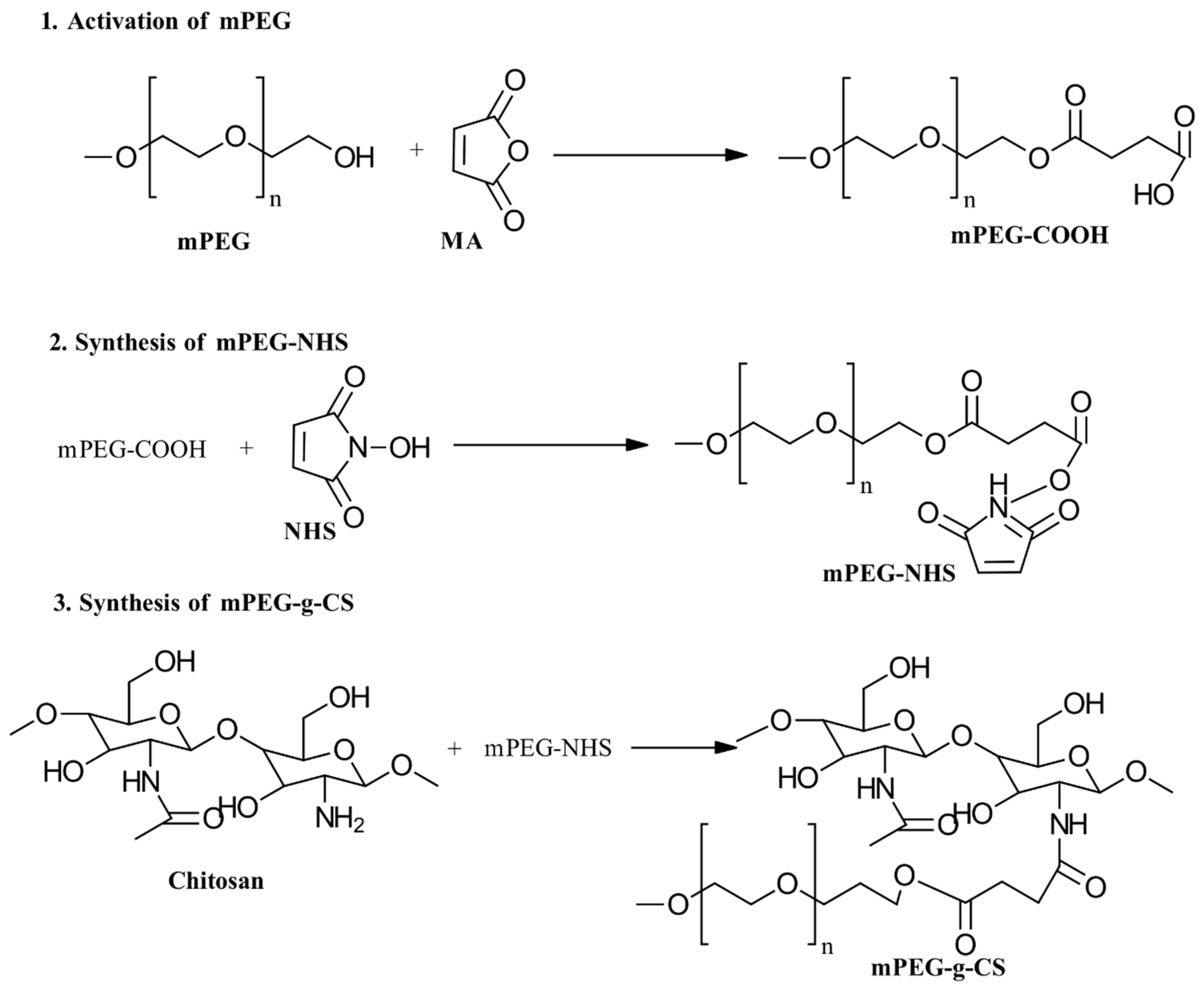 Gels 10 00701 g016 Gels 10 00701 g016