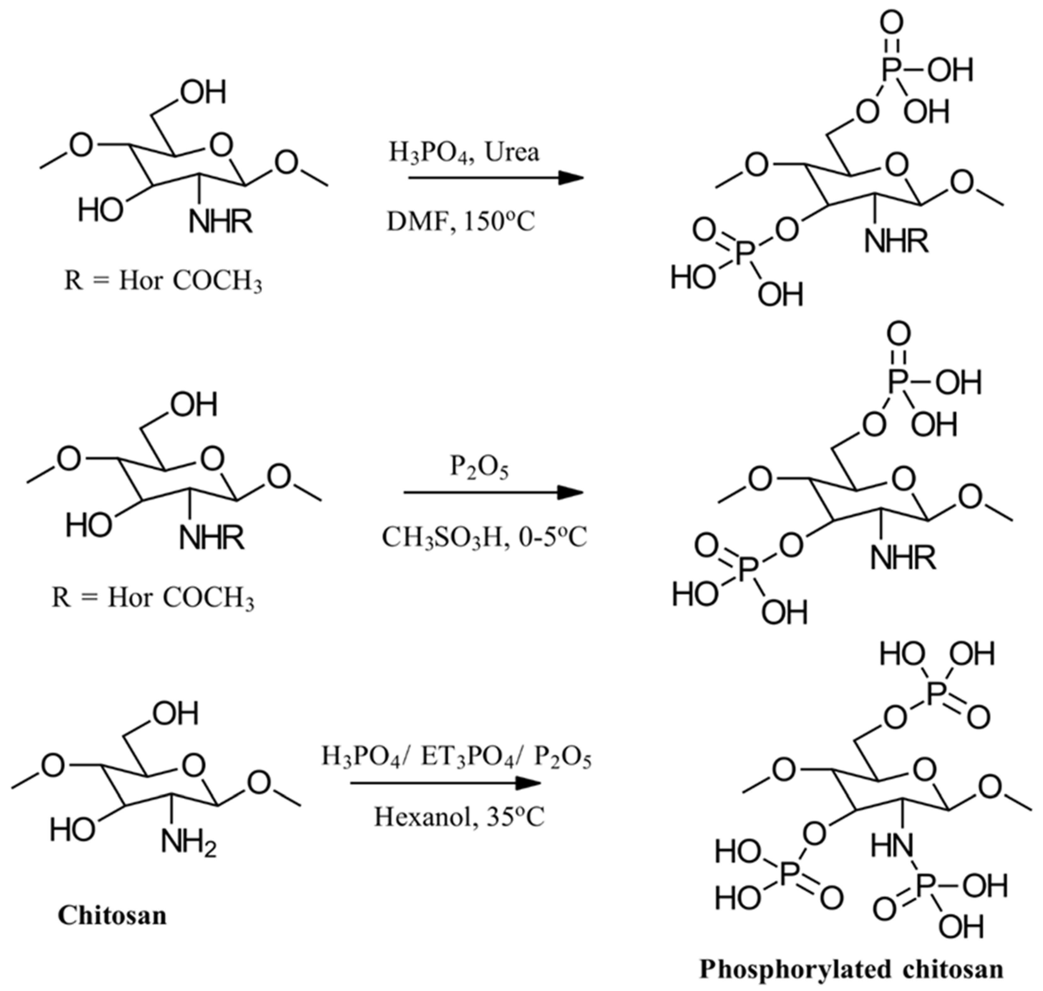 Gels 10 00701 g022 Gels 10 00701 g022
