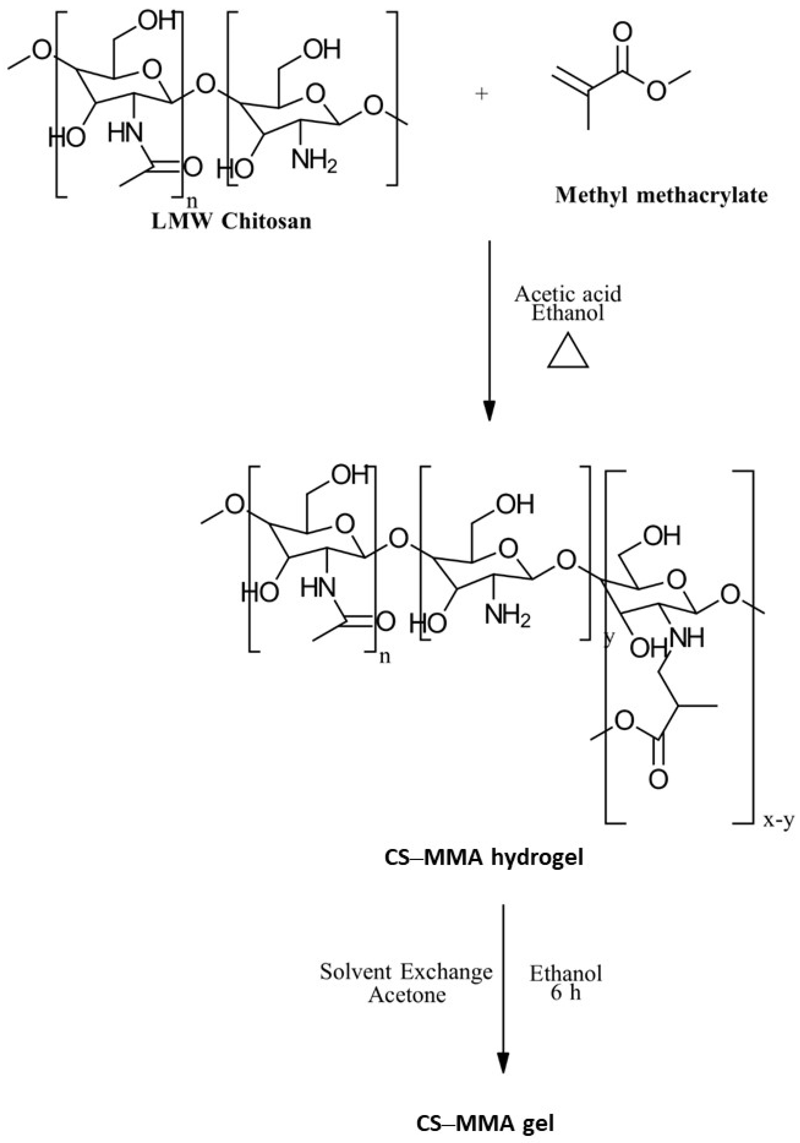 Gels 10 00701 g024 Gels 10 00701 g024