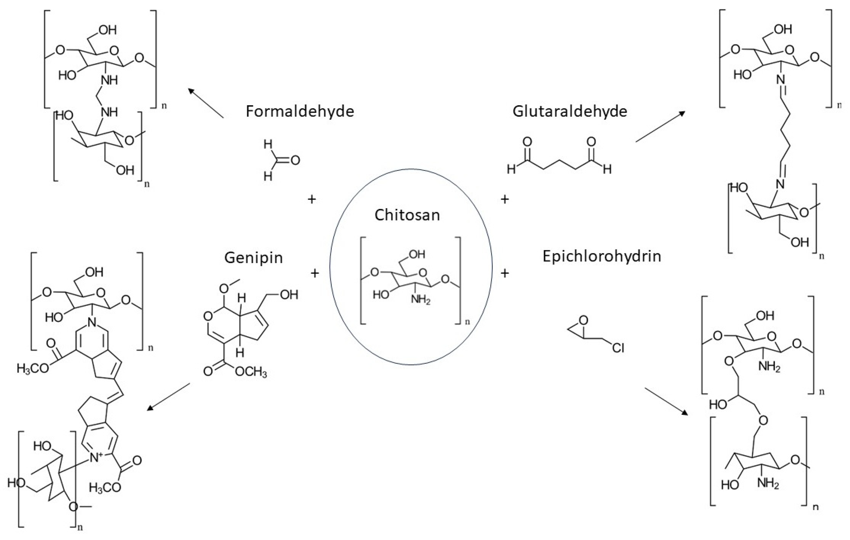 Gels 10 00701 g025 Gels 10 00701 g025