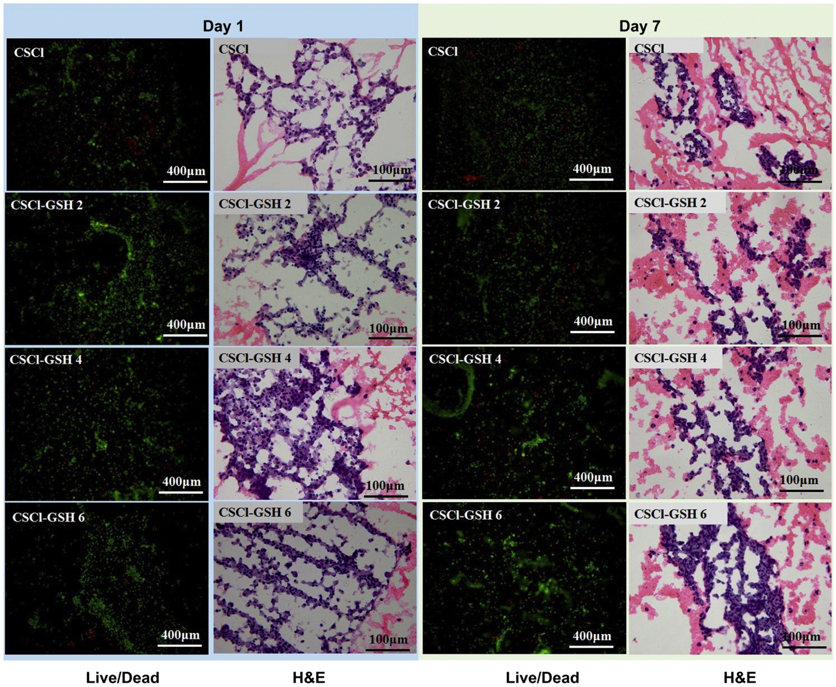Gels 10 00701 g029 Gels 10 00701 g029