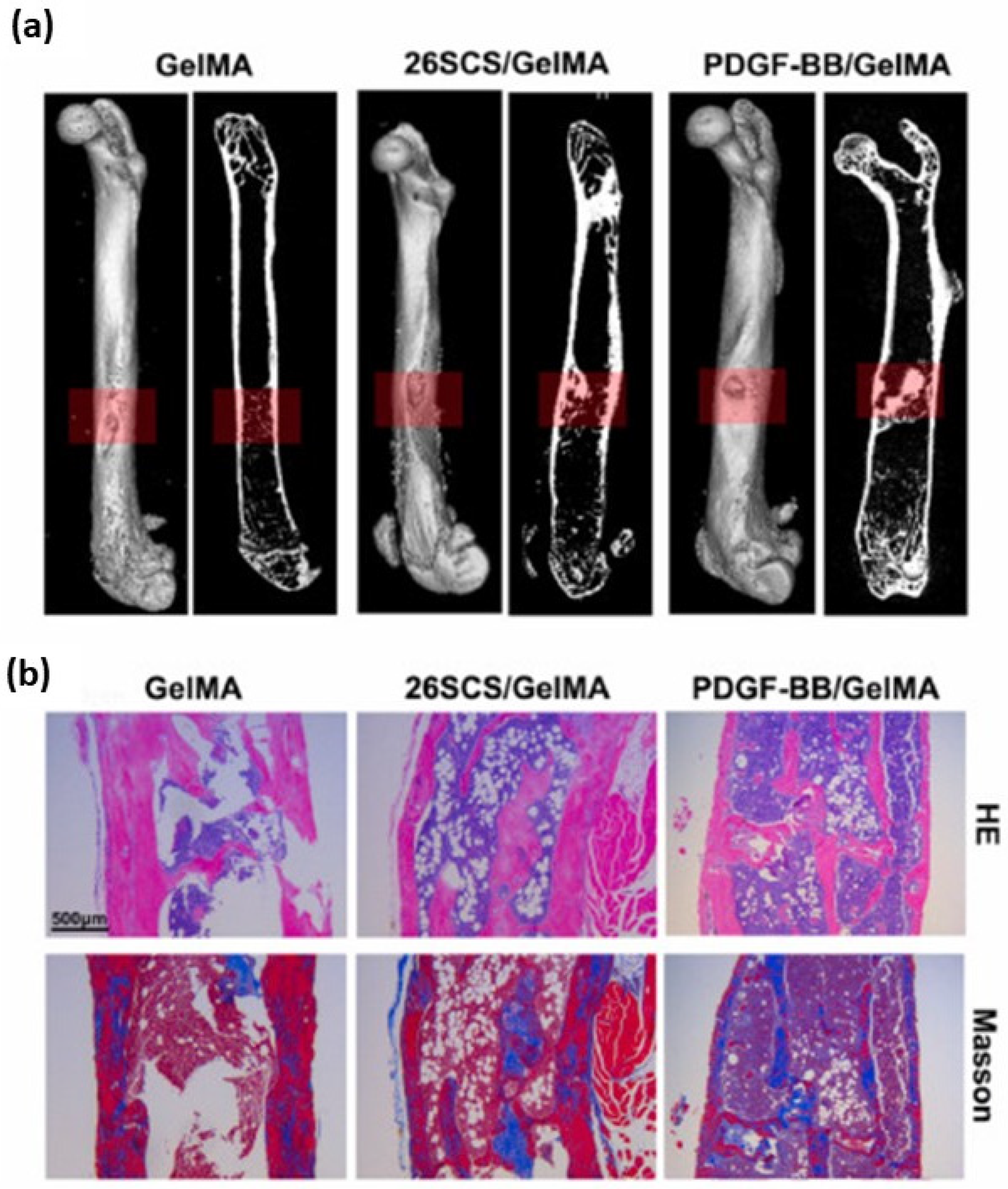 Gels 10 00701 g031 Gels 10 00701 g031