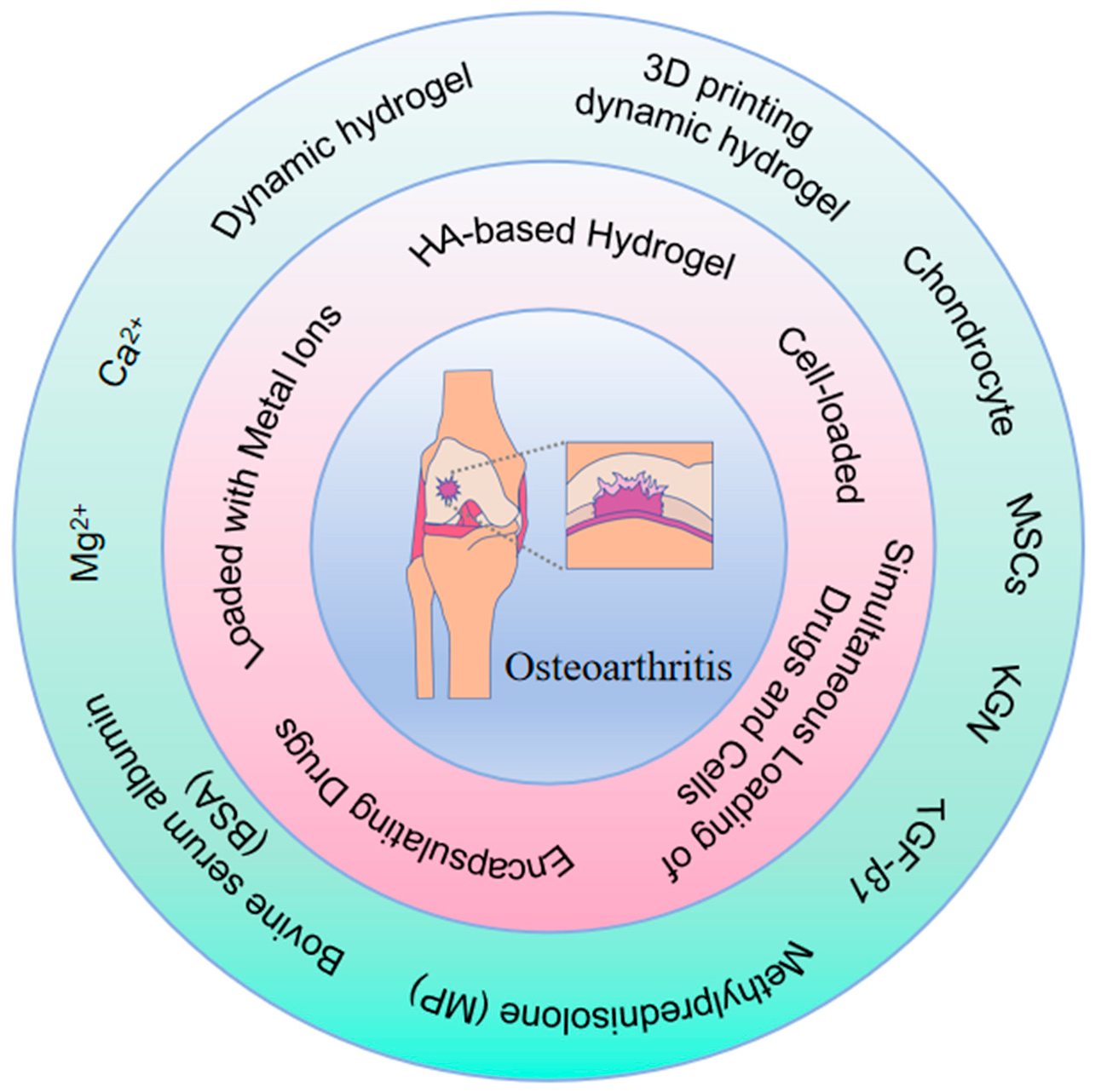 Gels 10 00703 sch001