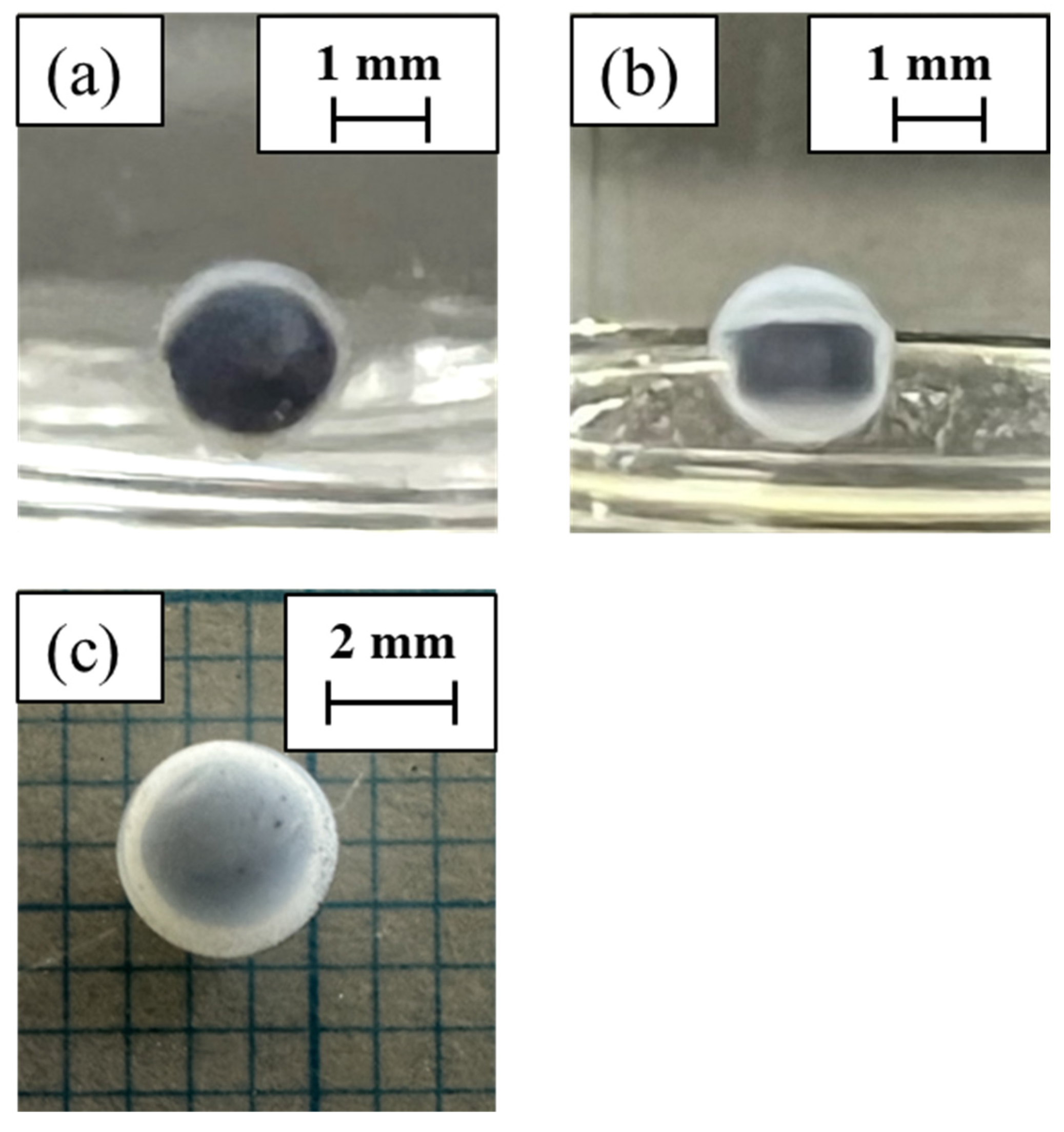 Gels 10 00723 g001
