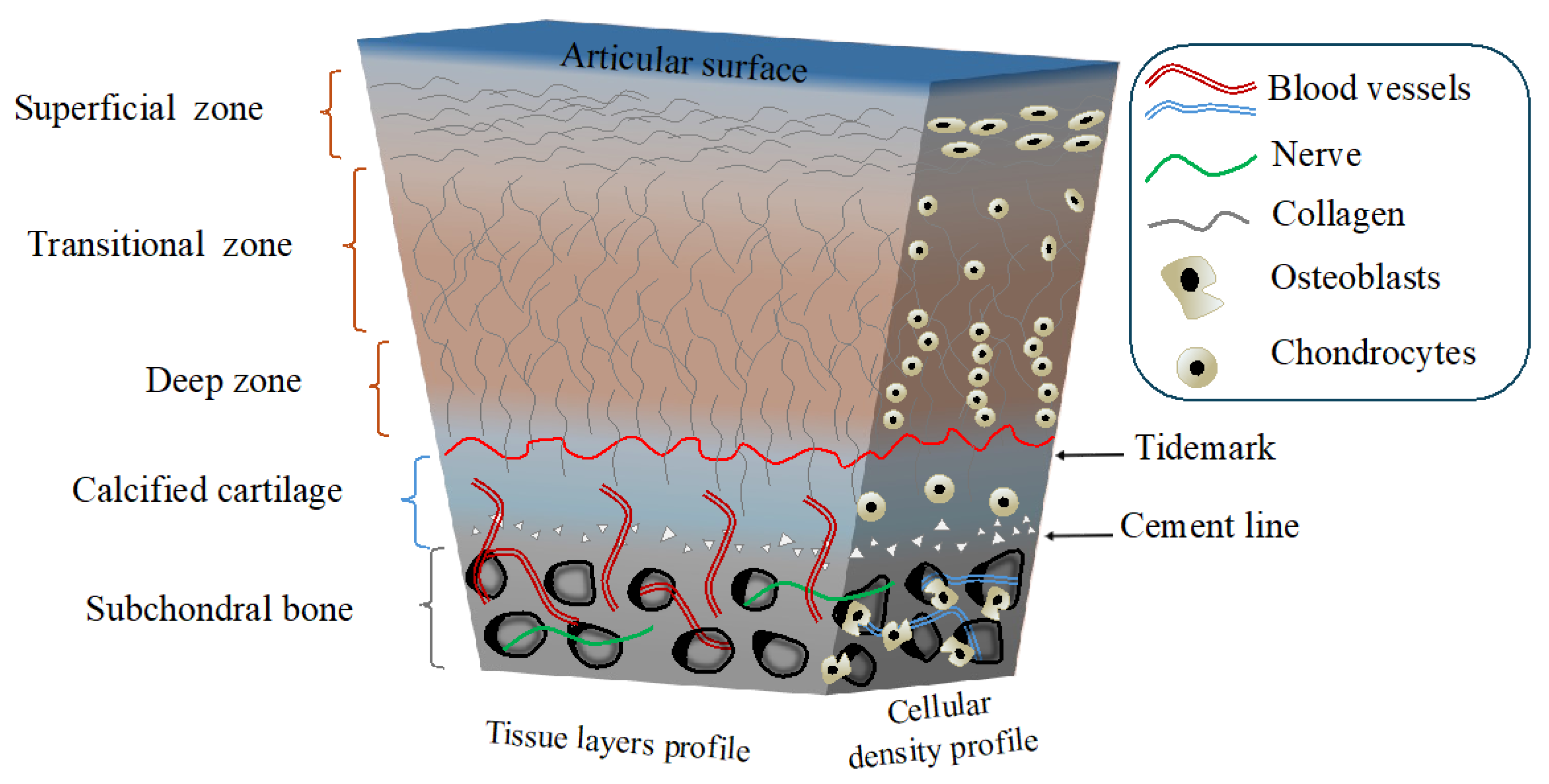 Gels 10 00745 sch001