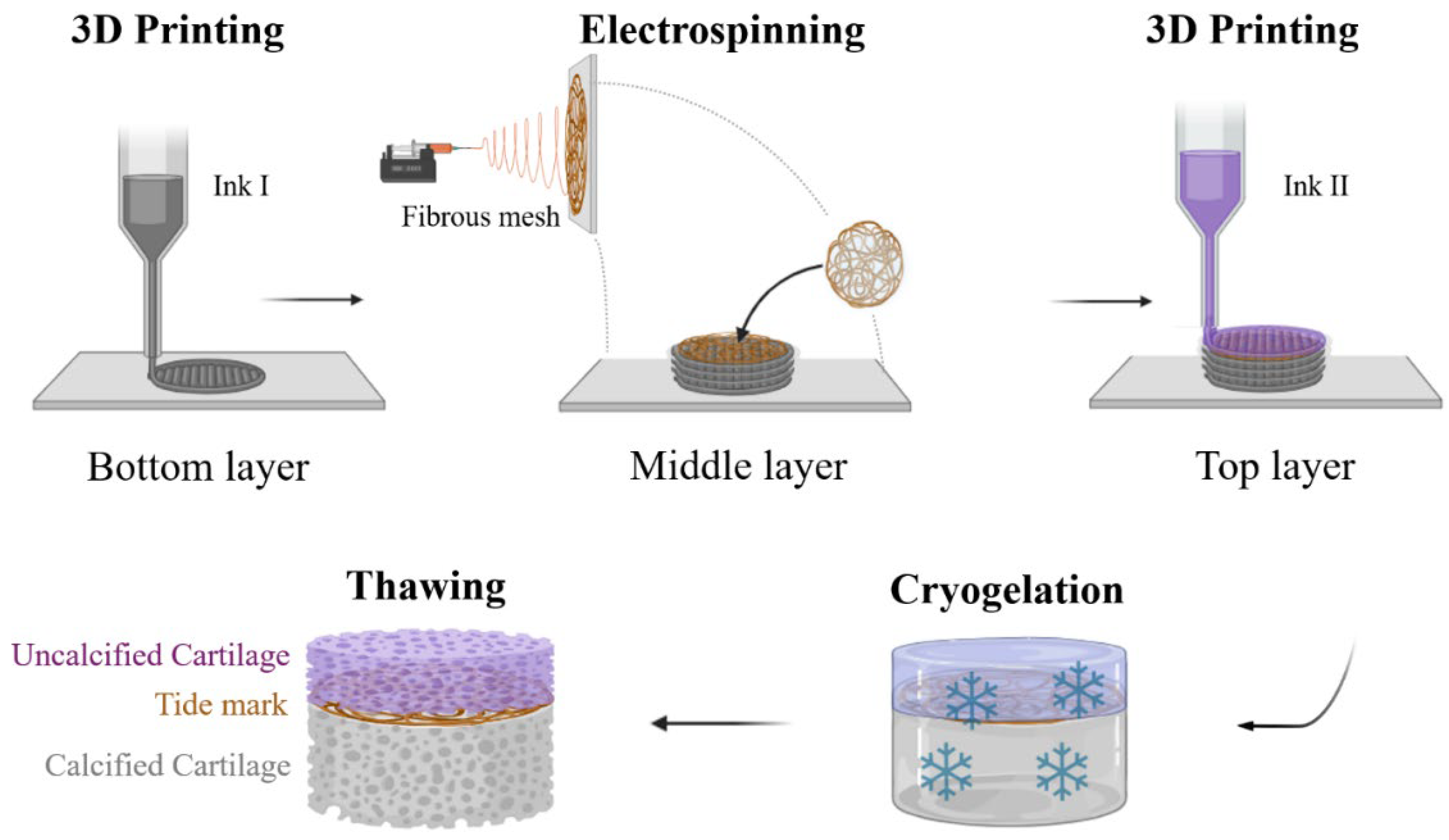 Gels 10 00745 sch002