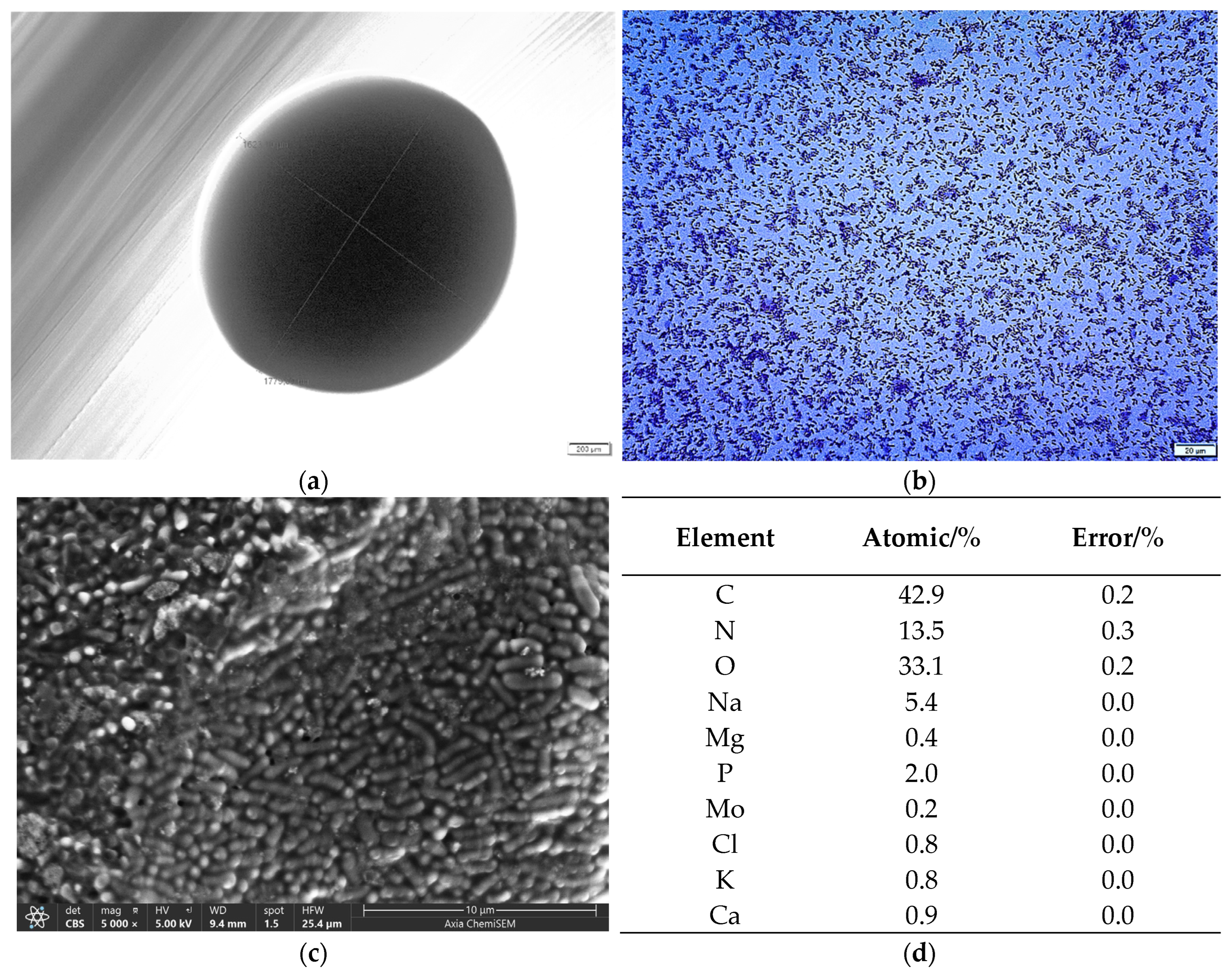 Gels 10 00752 g001 Gels 10 00752 g001
