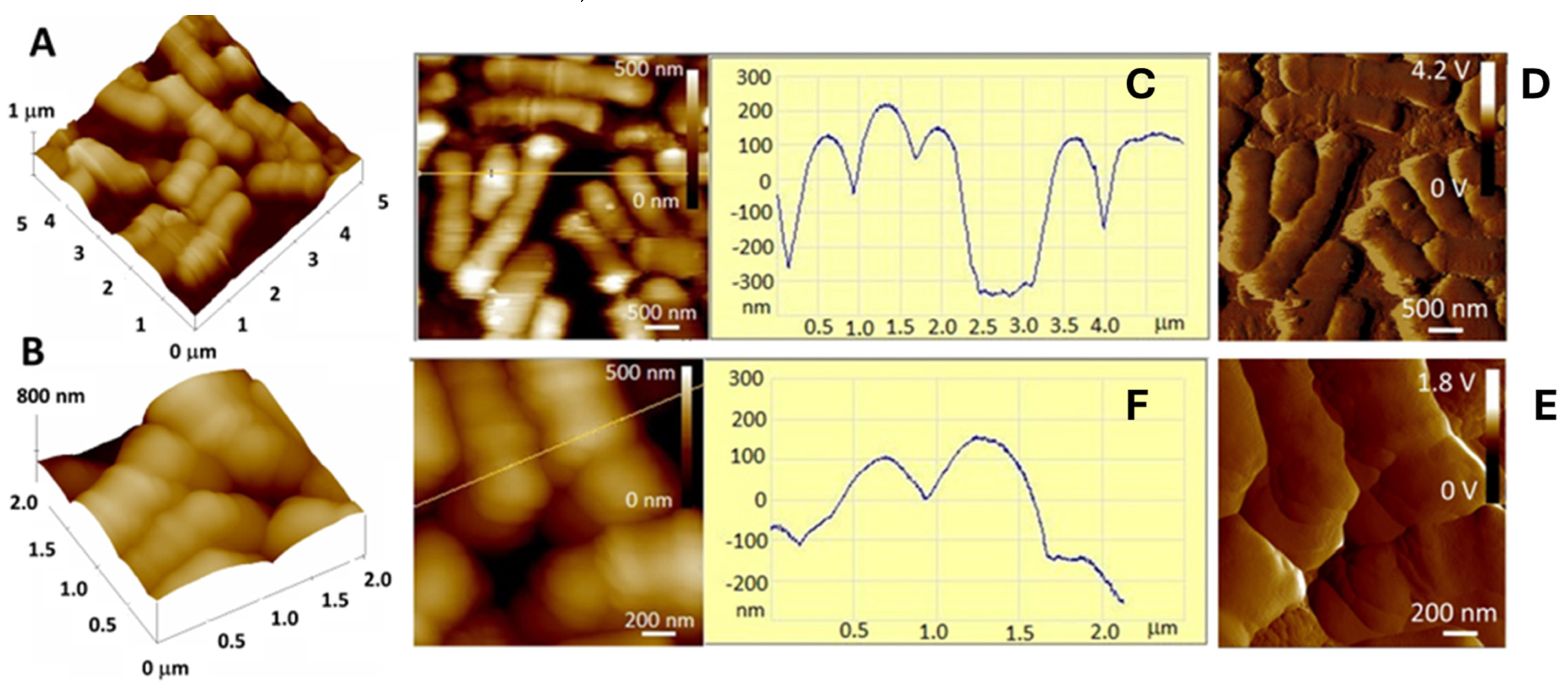 Gels 10 00752 g002 Gels 10 00752 g002