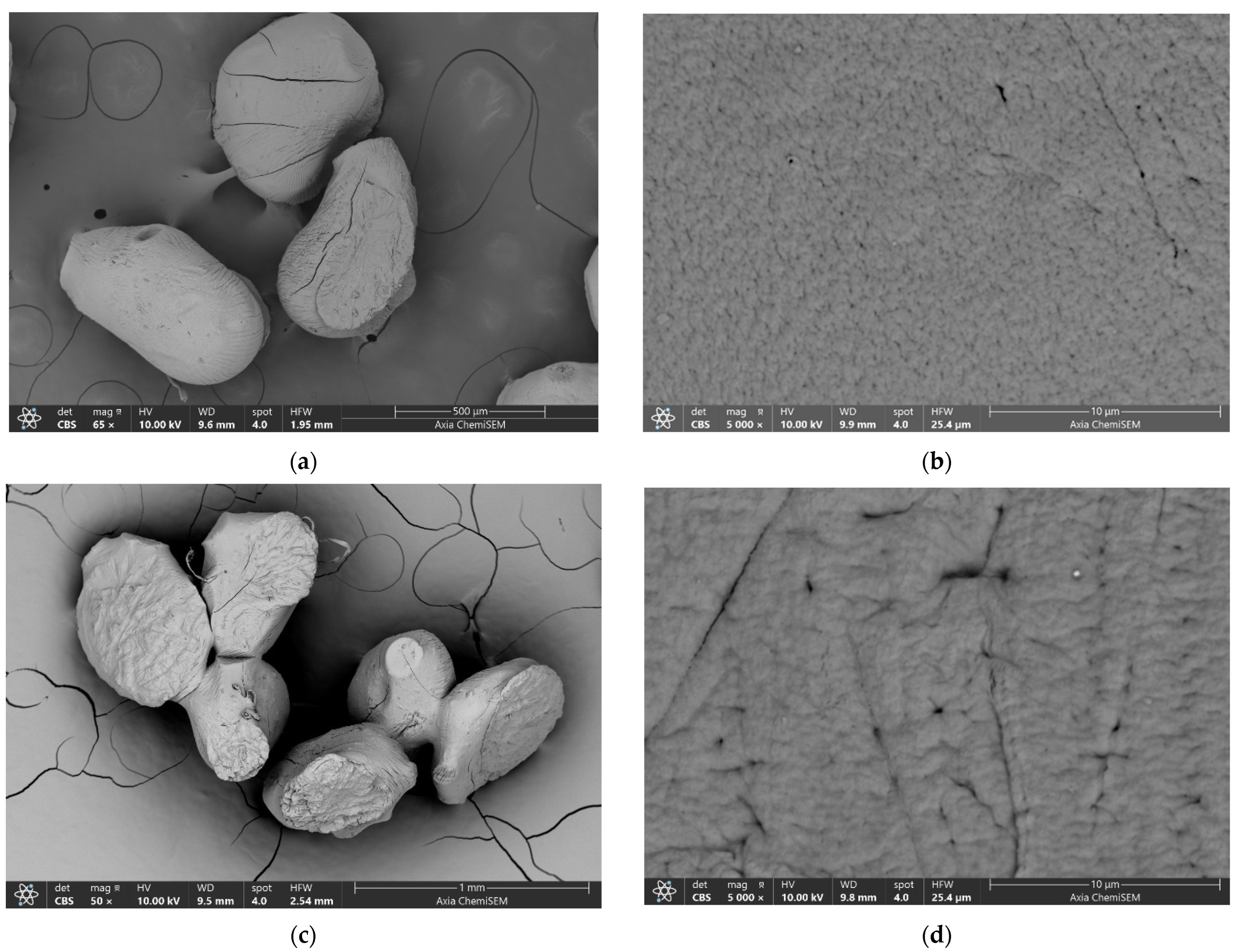 Gels 10 00752 g006a Gels 10 00752 g006a