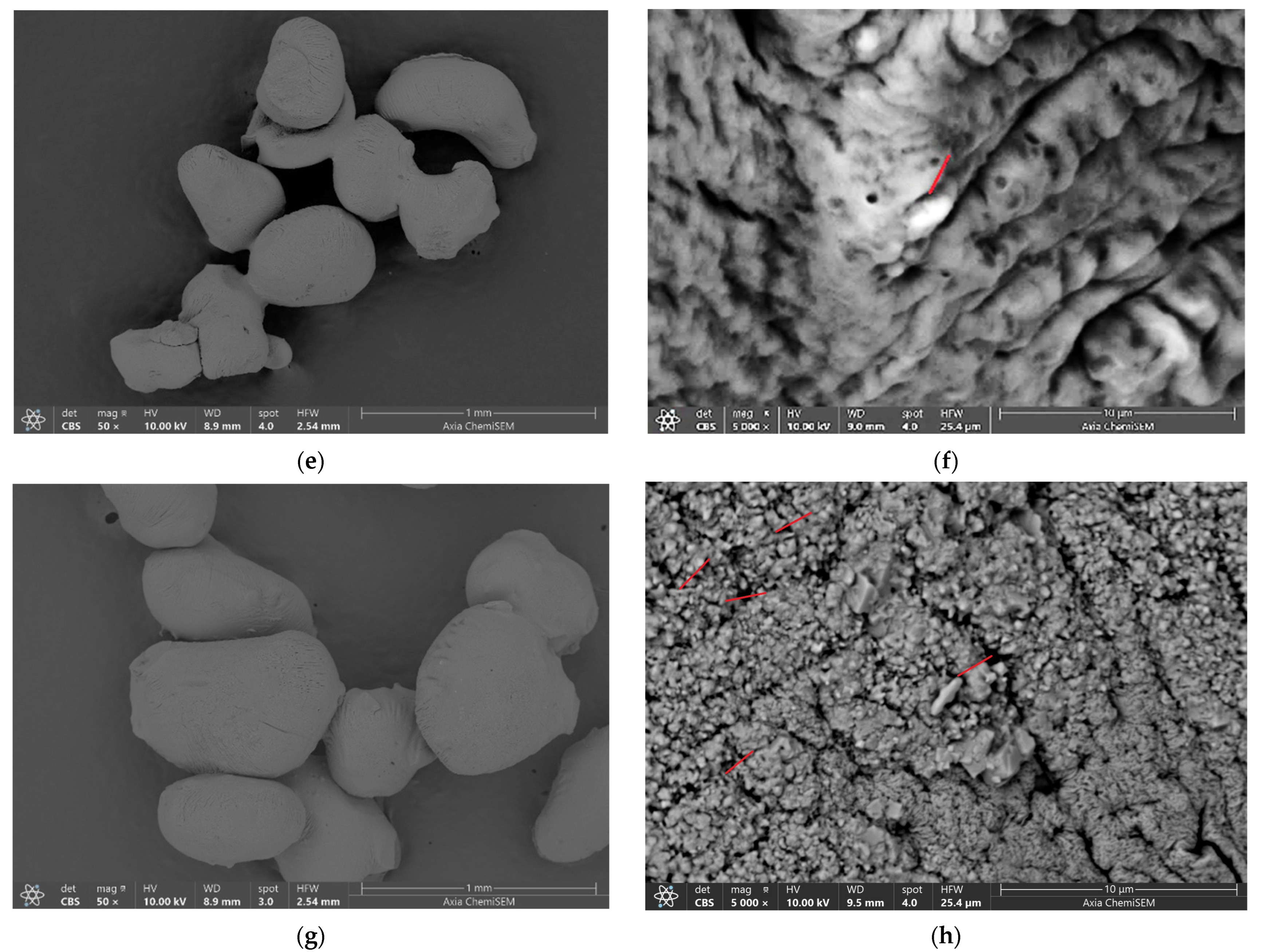 Gels 10 00752 g006b Gels 10 00752 g006b