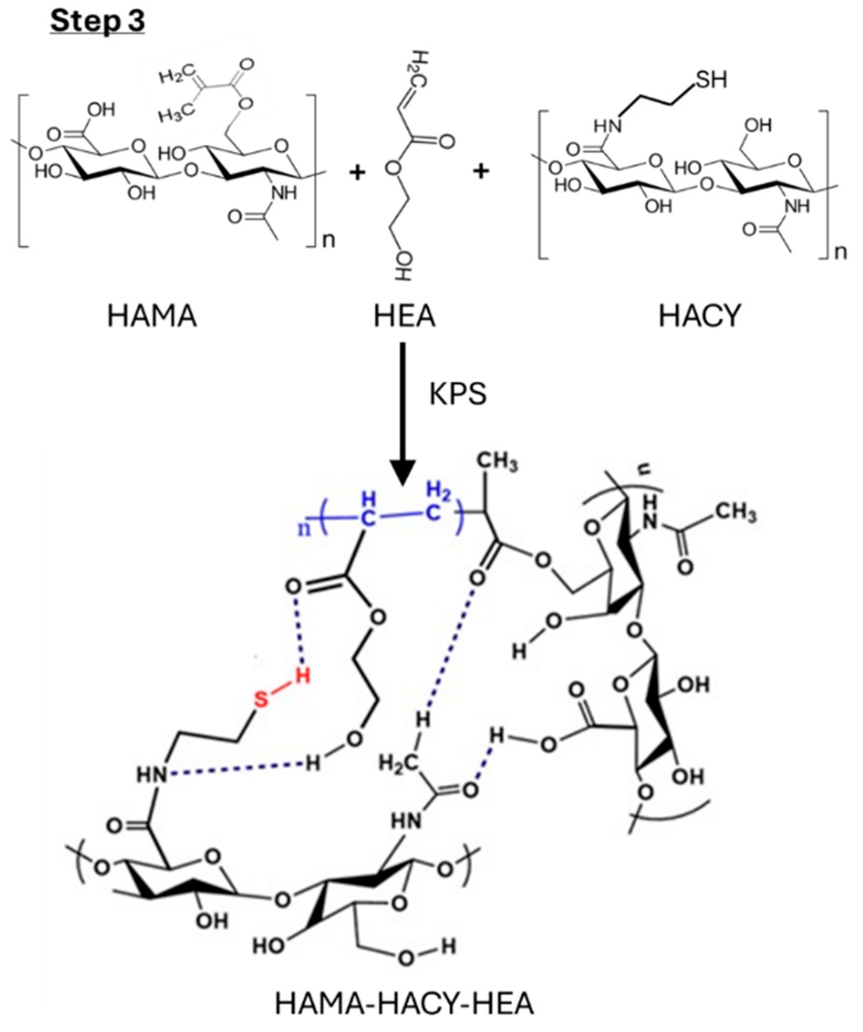 Gels 10 00780 sch003
