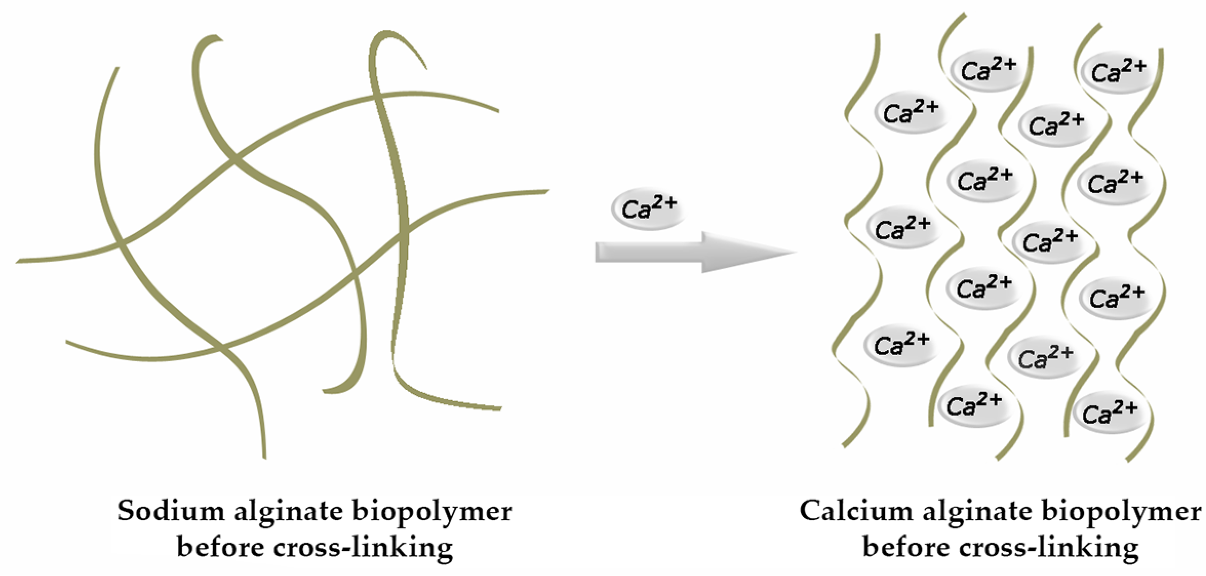 Gels 10 00782 g002 Gels 10 00782 g002
