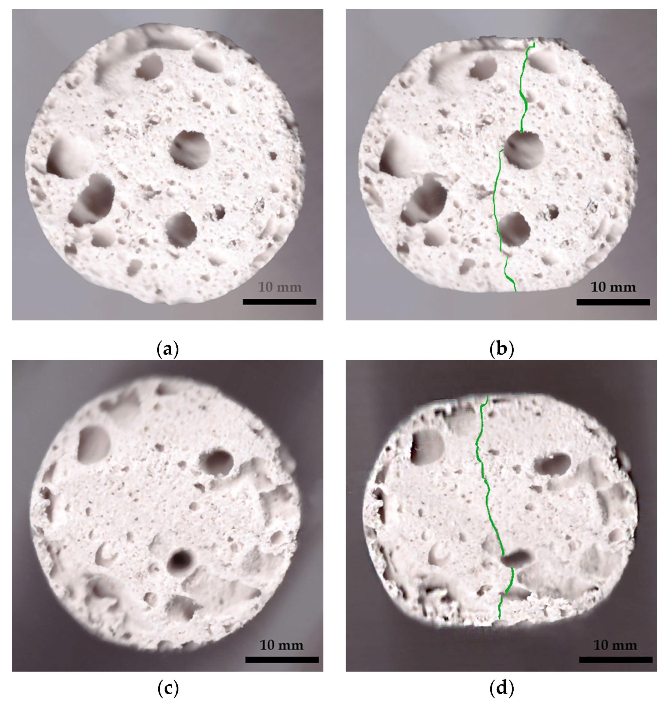 Gels 10 00782 g003 Gels 10 00782 g003