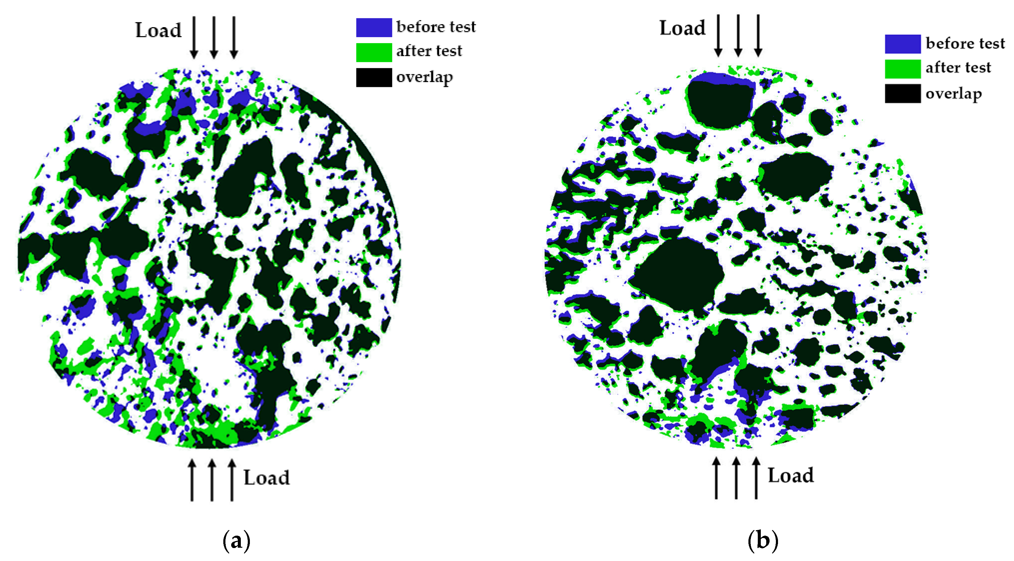 Gels 10 00782 g008 Gels 10 00782 g008