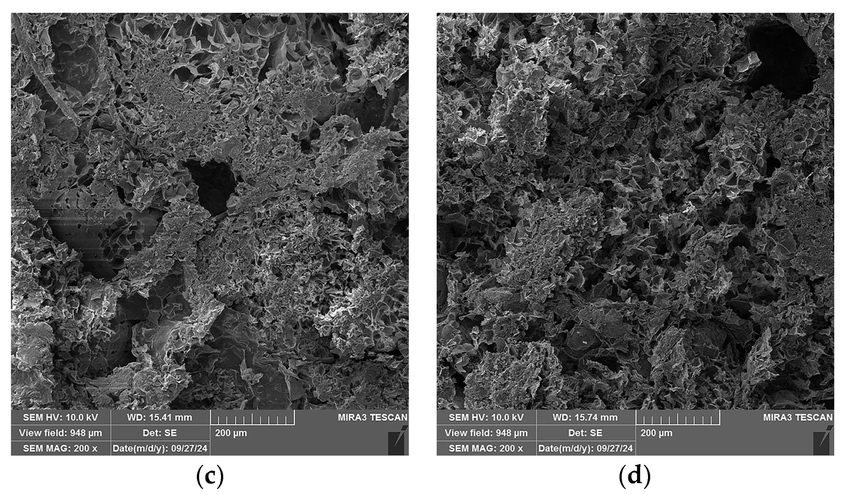 Gels 10 00782 g012b Gels 10 00782 g012b