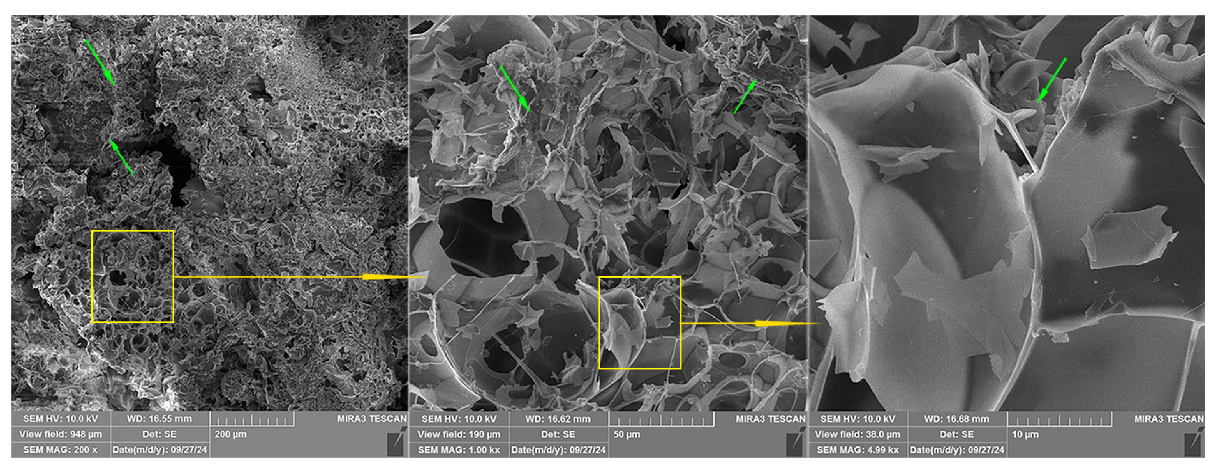 Gels 10 00782 g013 Gels 10 00782 g013