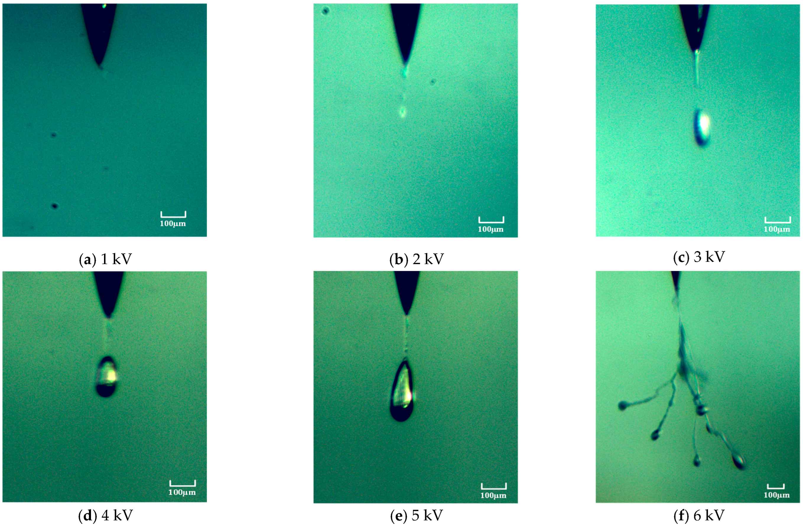 パート1 Effect of the Sodium Silicate Inhibitor on the Corrosion