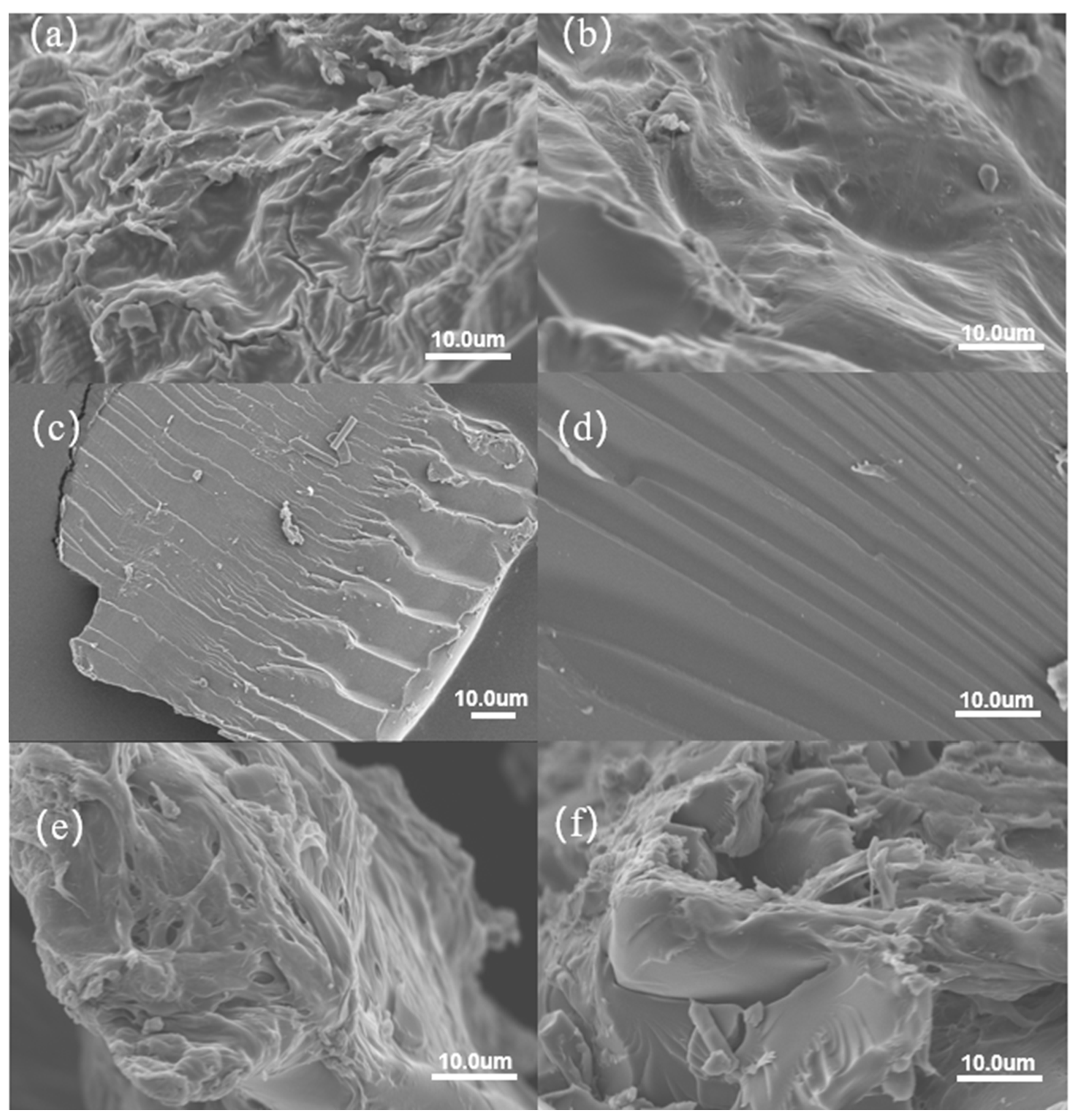 Gels 10 00833 g004 Gels 10 00833 g004