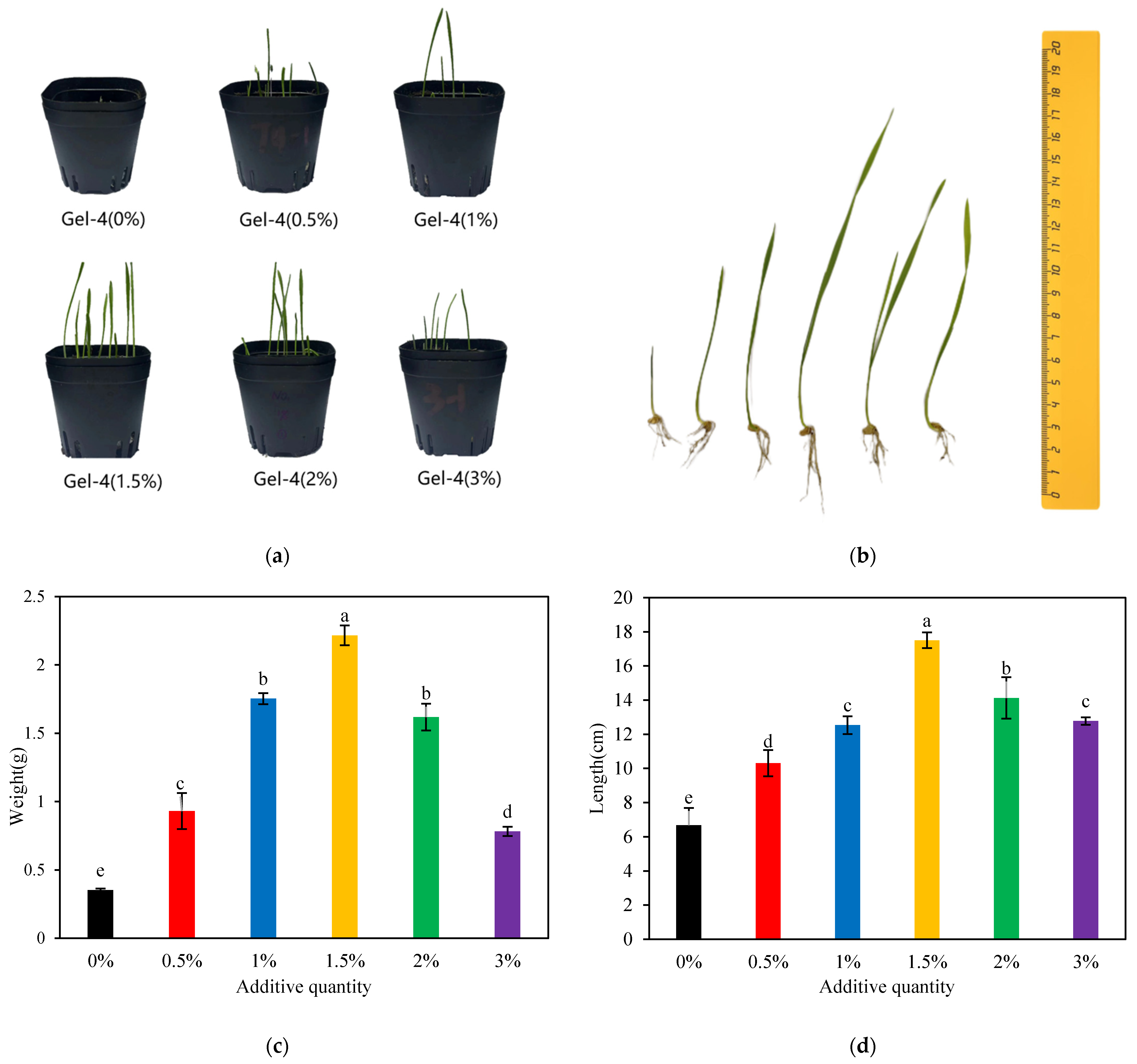 Gels 10 00833 g010 Gels 10 00833 g010