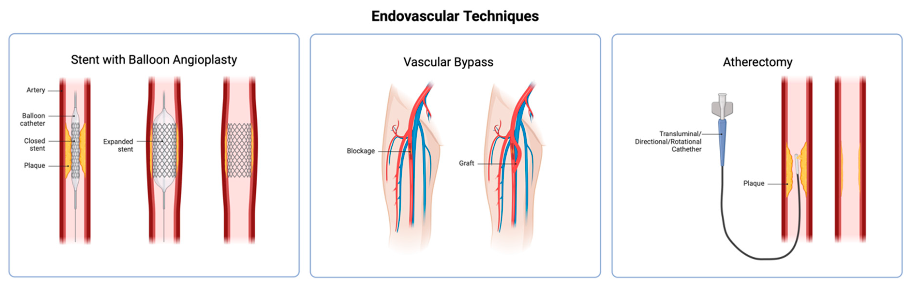 Gels 11 00004 g001 Gels 11 00004 g001